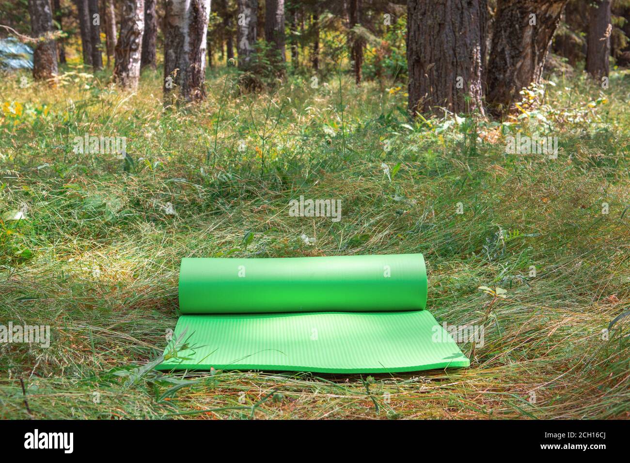 Tappeto yoga su erba in natura, sullo sfondo di una pineta, ritiro e yoga in natura concetto Foto Stock