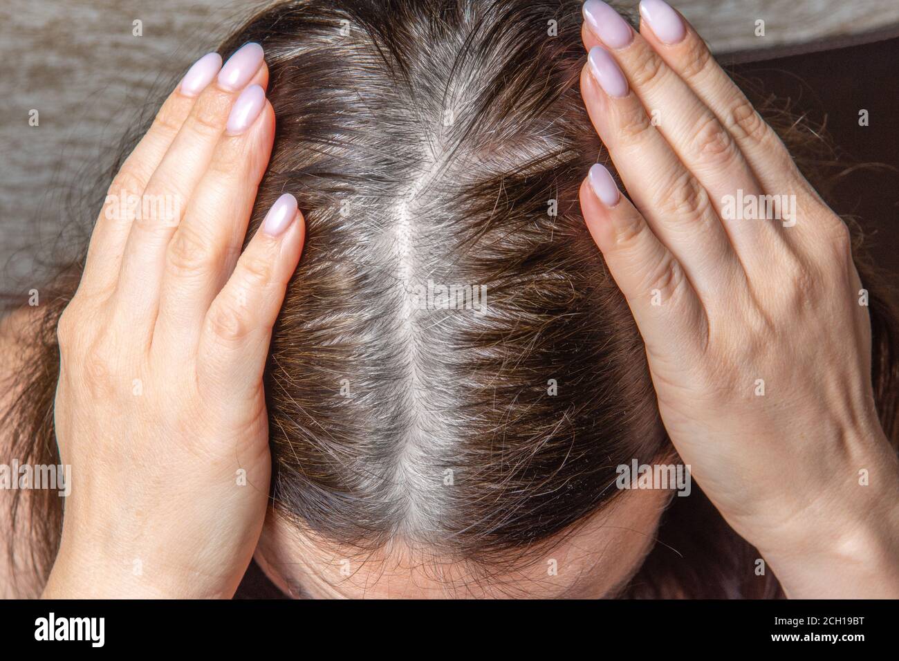 Primo piano della testa di una donna con radici di ricrescita dei capelli  grigi staccati. È il momento di tingere i capelli Foto stock - Alamy