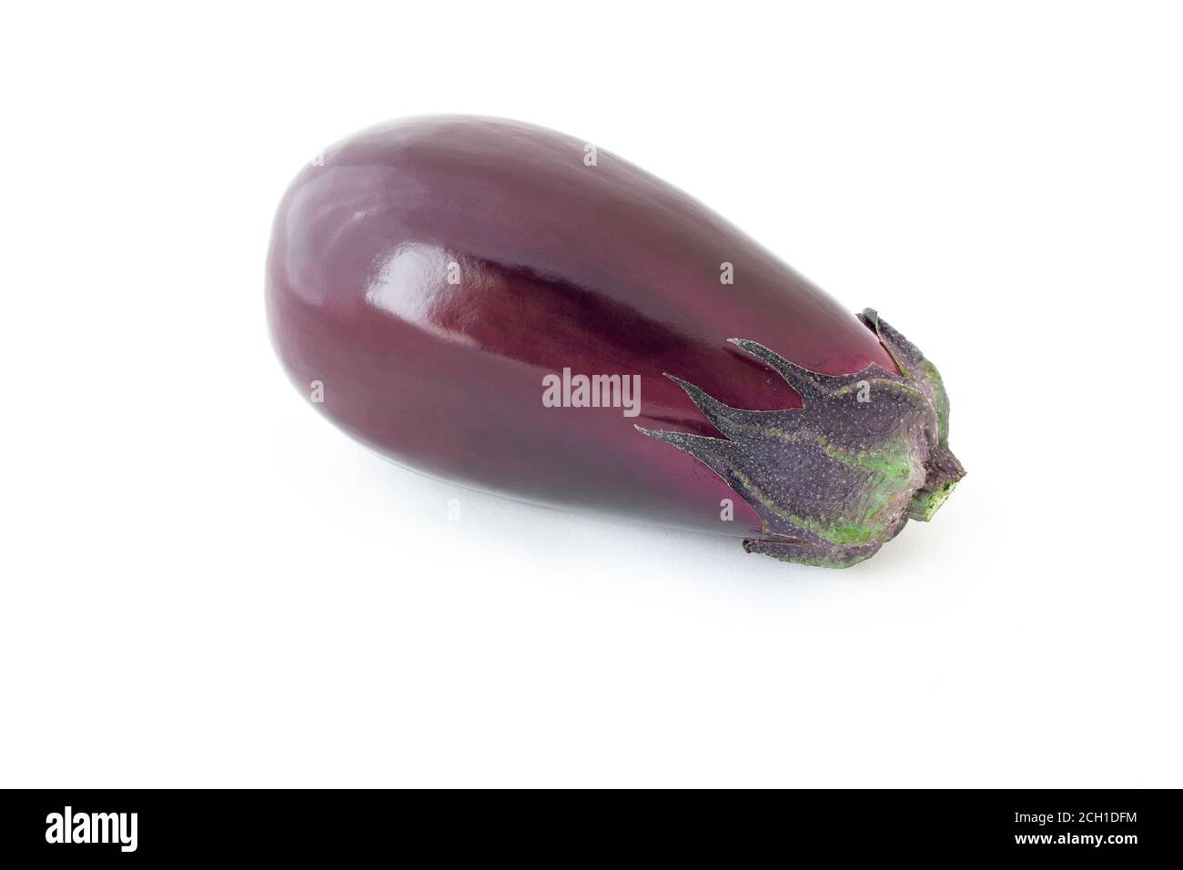 melanzane isolate. Una melanzana viola matura fresca e sana su sfondo bianco. Primo piano melanzane viola scuro Foto Stock