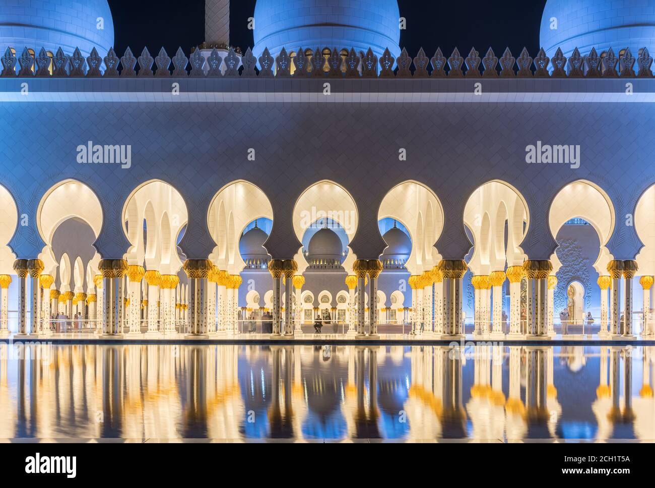 Moschea Sheikh Zayed di notte. Abu Dhabi, Emirati Arabi Uniti. Foto Stock