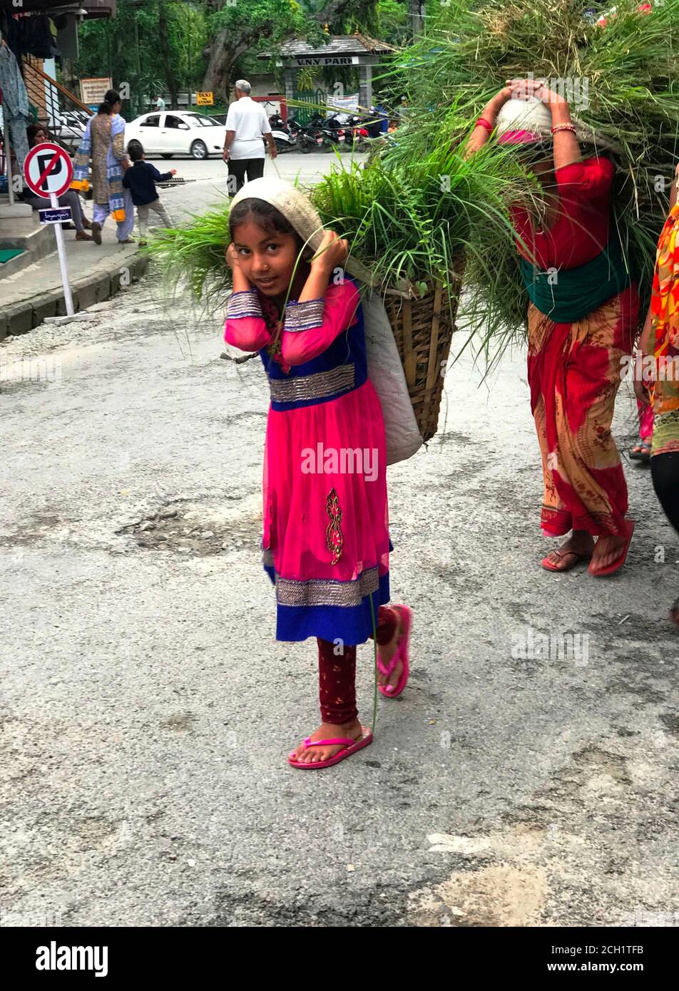 La ragazza nepalese in abito tradizionale porta un grande cesto con un pesante covone d'erba per il suo bestiame. Il bambino nepalese aiuta i genitori. Pokhara, Nepal Foto Stock