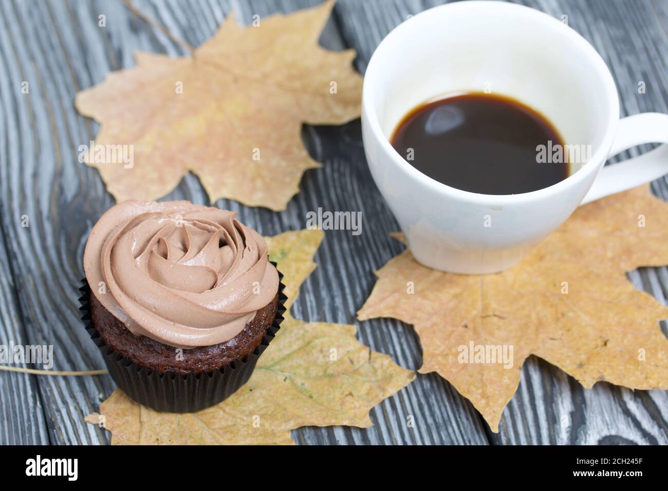 Cupcake al cioccolato con crema di formaggio. Nelle vicinanze si trova una tazza di caffè e foglie di acero essiccate. Su tavole di pino verniciate in bianco e nero. Foto Stock