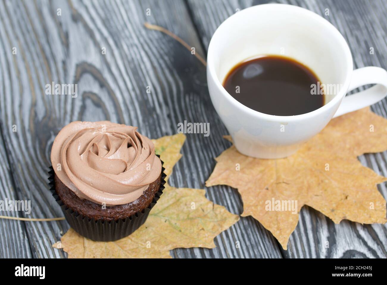 Cupcake al cioccolato con crema di formaggio. Nelle vicinanze si trova una tazza di caffè e foglie di acero essiccate. Su tavole di pino verniciate in bianco e nero. Foto Stock