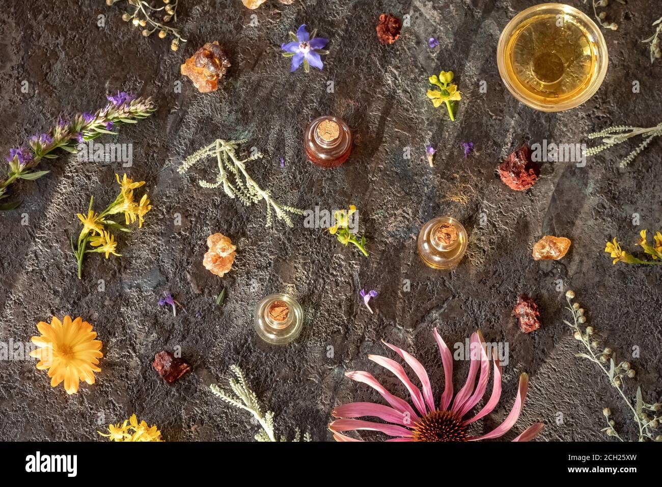 Selezione di oli essenziali con incenso, sangre de drago, wormwood, echinacea e altre erbe, vista dall'alto Foto Stock