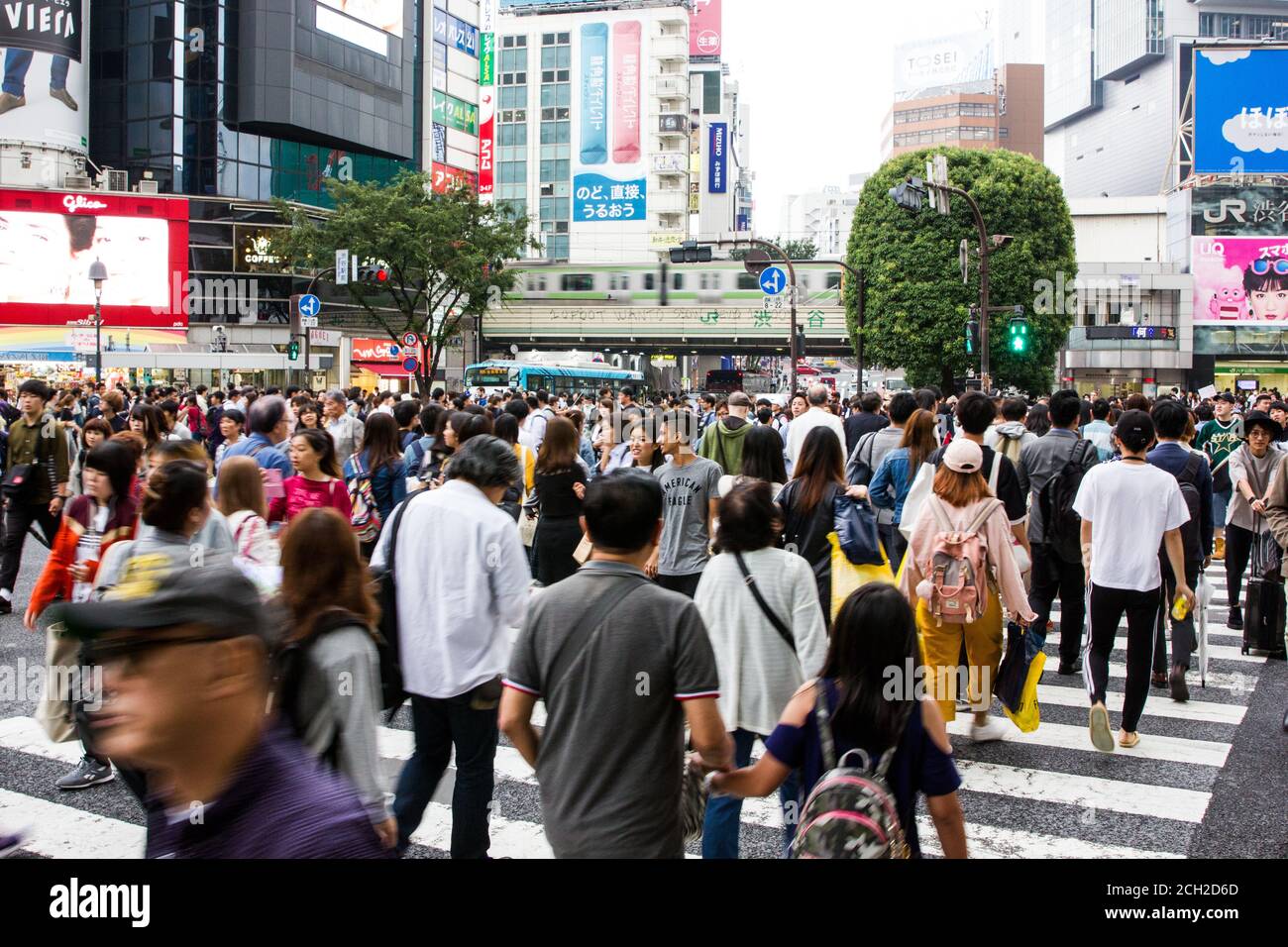 Shibuya, Tokyo Giappone - giugno 2018: La popolare e affollata zona di Shibuya Crossing fuori dalla stazione è l'attraversamento pedonale più trafficato del mondo. Foto Stock