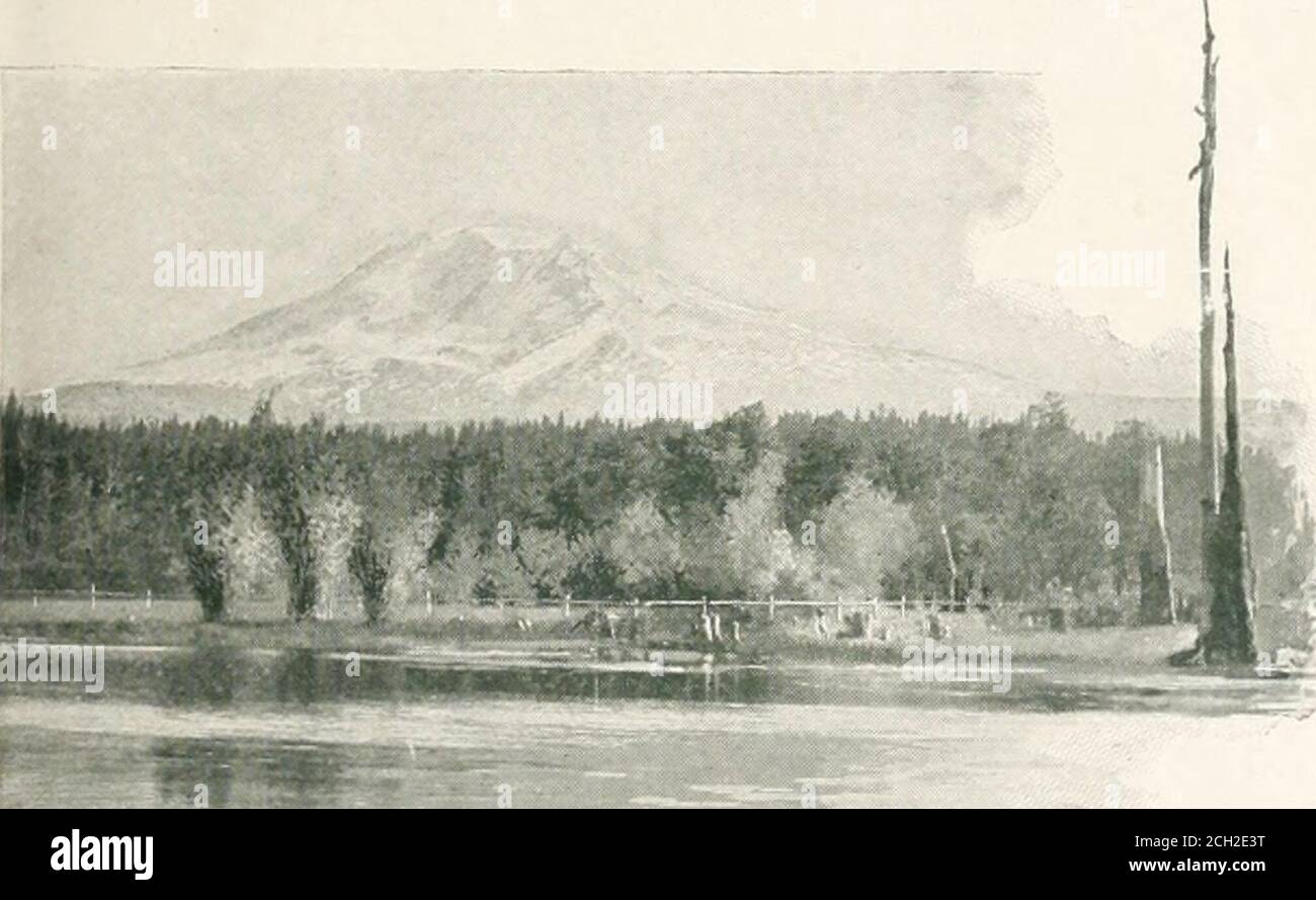 . Tour del continente : Colorado, California & Yellowstone National Park : treno speciale, condotto personalmente attraverso New York Central & Hudson River R.R. e linee di collegamento . v^^ GRANDI ALBERI, CALIFORNIA. Altezza. E' coperto da un completo accappatoio di neve dalla linea di verdi colline pedemontane fino alla cima, dove il vapore del vulcano che si aggira sopra la sua corona. Sede centrale dello spazioso Hotel Tacoma, per il quale è stata organizzata la colazione. Dall'hotel si può avere una vista panoramica di Puget Sound, e del Monte Ranier. Coloro che desiderano possono trascorrere il forenoon visitando i punti di interesse della città, Foto Stock