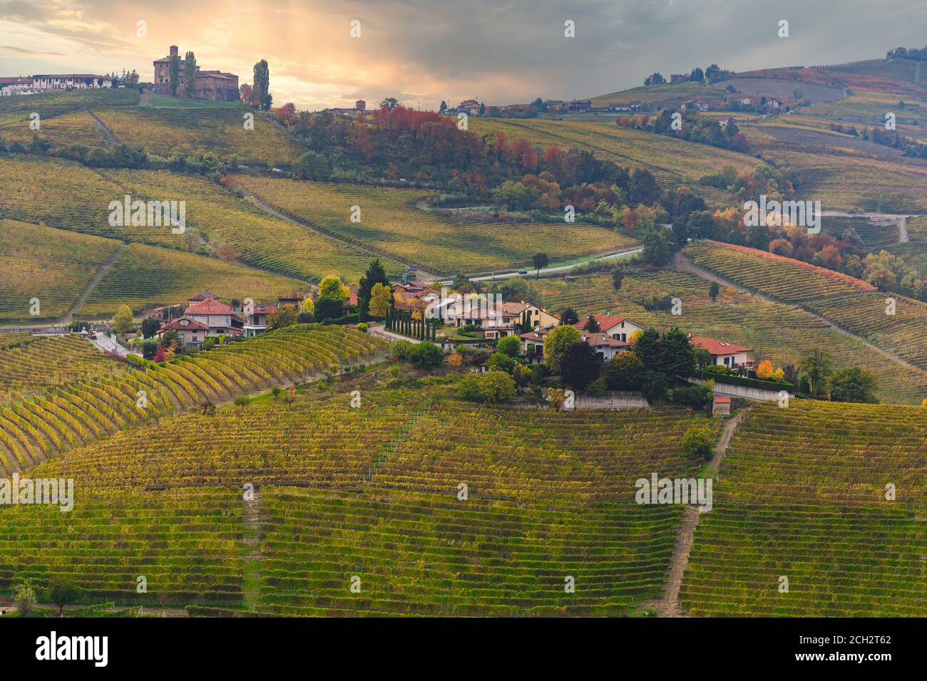Vista elevata sulle colline dei vigneti delle Langhe al tramonto in autunno, Patrimonio dell'Umanità dell'UNESCO, Alba, provincia di Cuneo, Piemonte, Italia Foto Stock