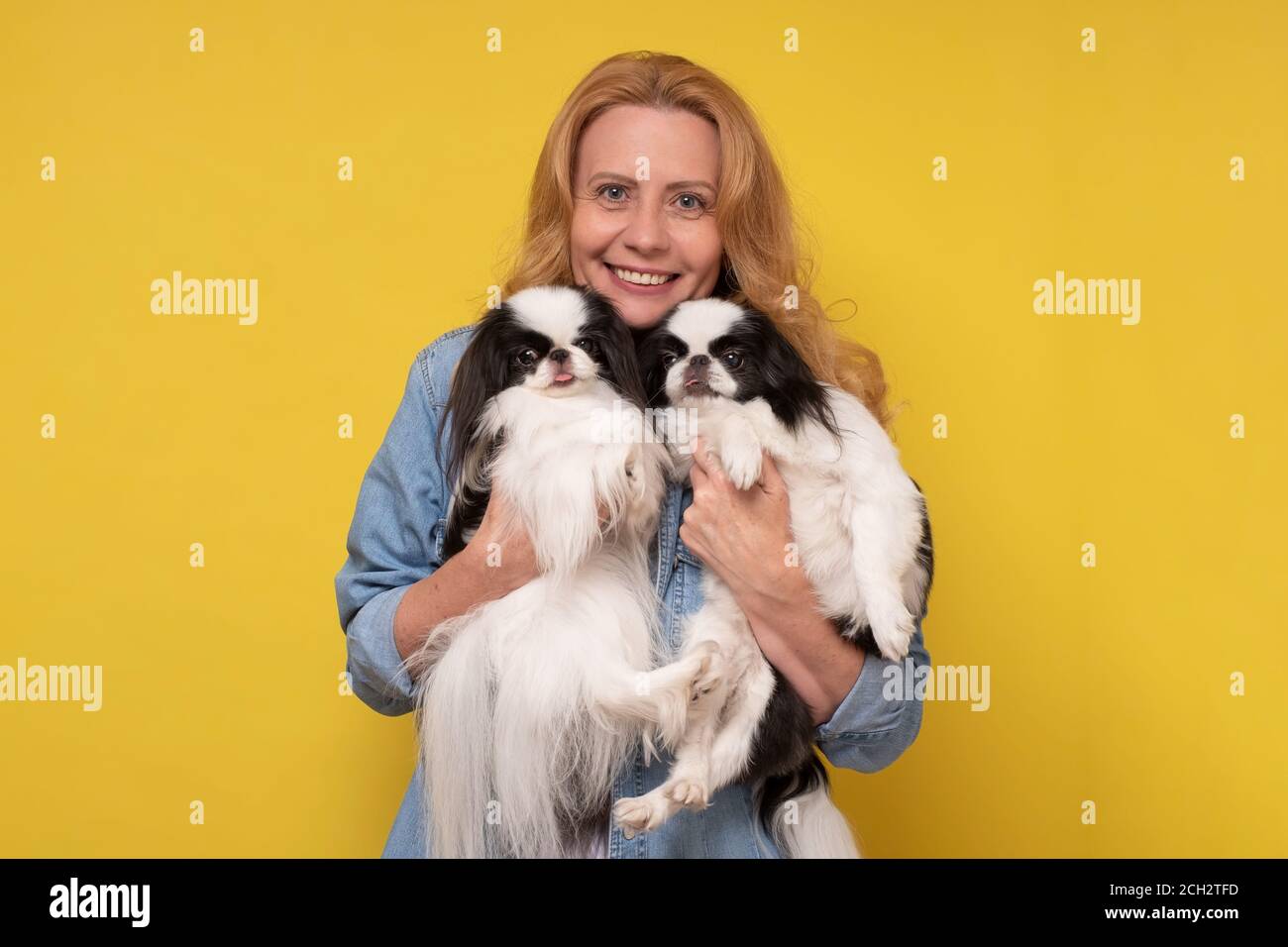 donna caucasica che regge e conforta due cani da compagnia in giapponese. Foto Stock