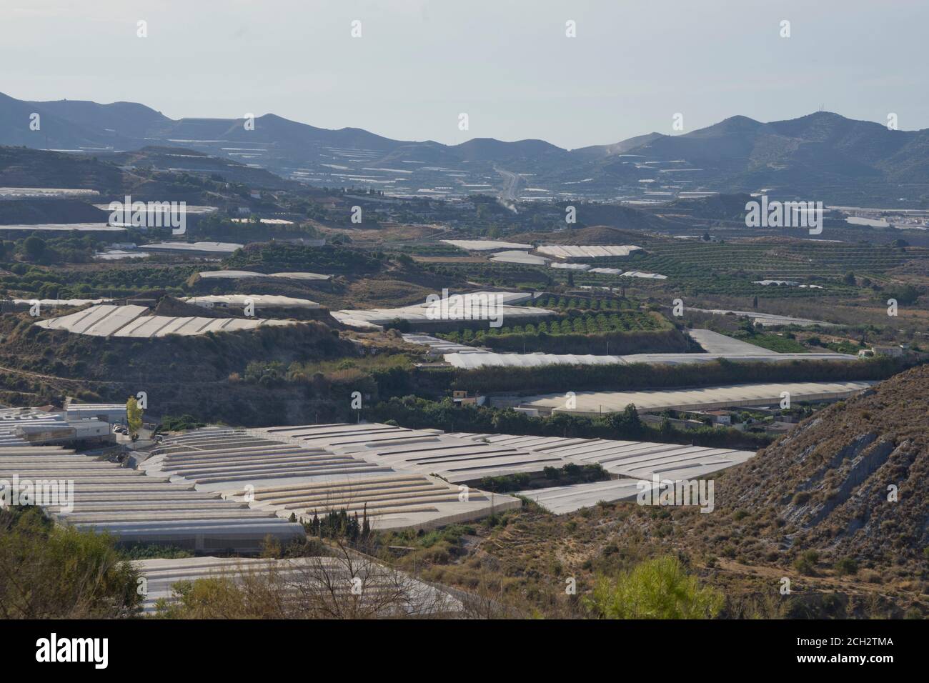 Serre di plastica per coltivare frutta e verdura invernali per il nord Mercati europei vicino a Motril in provincia di Granada,Spagna,Europa Foto Stock