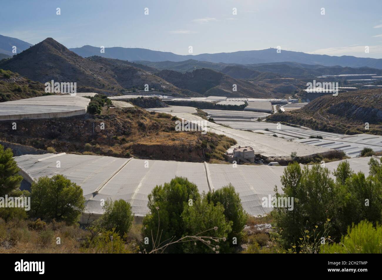 Serre di plastica per coltivare frutta e verdura invernali per il nord Mercati europei vicino a Motril in provincia di Granada,Spagna,Europa Foto Stock