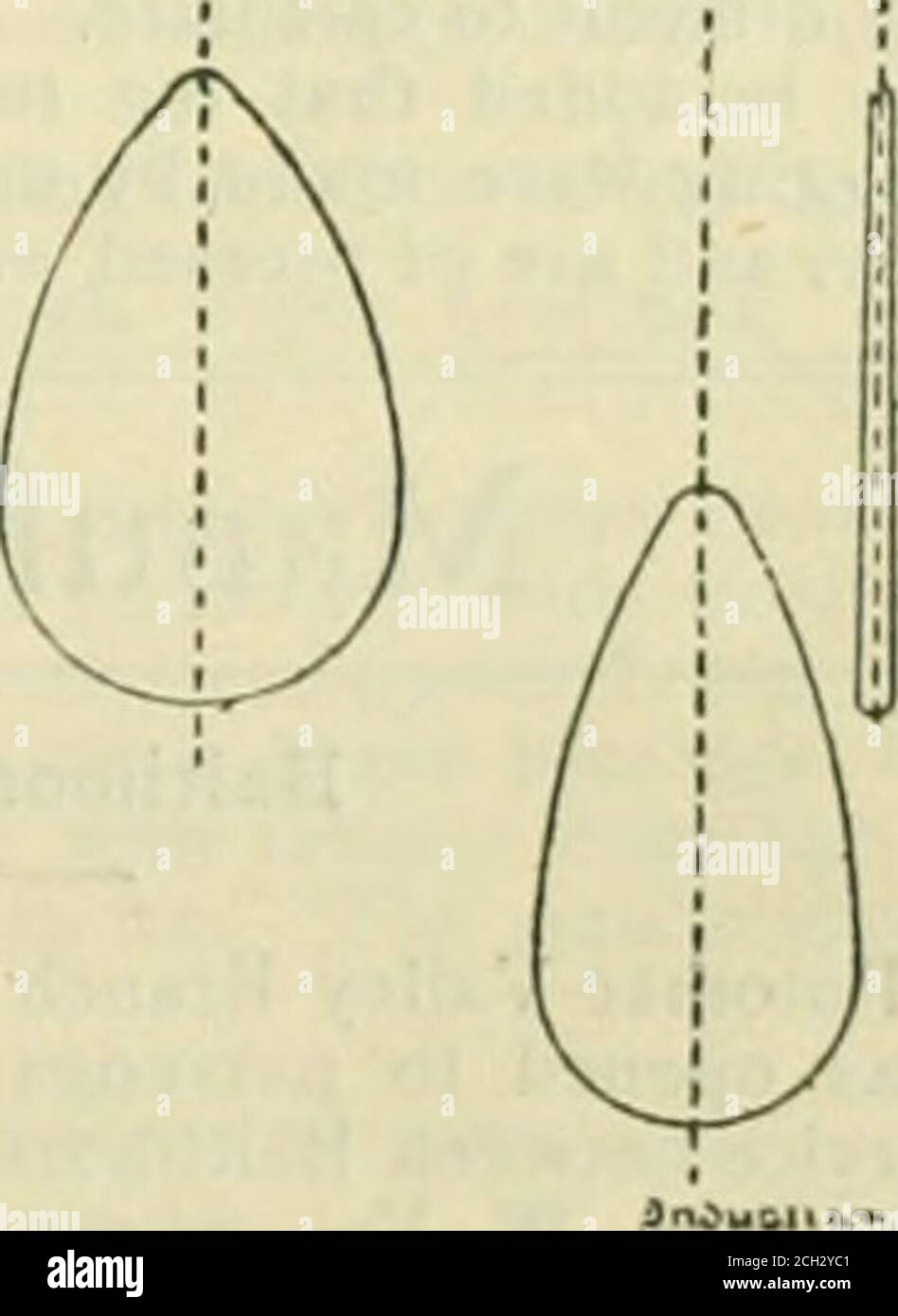 . Ingegnere americano e giornale ferroviario . Fig. 4.-Tkan.Sverse sezioni di Hull. È sufficiente per 552 nodi alla massima velocità, o per 1800 nodi ad una velocità di 12 nodi. Le dimensioni generali sono: Lunghezza, 229.6 ft. ; larghezza 29.2 piedi ; trazione in avanti, 11.4 ft. ; poppa, 13.4 ft. ; spostamento, 1,306 tonnellate. 476 LA FERROVIA E ^[OTTOBRE, 1892. Ci sono quattro tubi a siluro, due anteriori e due posteriori. L'altro armamento comprende cinque locm. (3.g3-in.) pistole a fuoco rapido; due da 65 mm. (2.56-in.) pistole a fuoco rapido e tour 37-mm. {1.46-in.)cannone girevole. Gli IVatlignies sono costati in tutto circa 580,000 dollari. Ha Foto Stock . Ingegnere americano e giornale ferroviario . Fig. 4.-Tkan.Sverse sezioni di Hull. È sufficiente per 552 nodi alla massima velocità, o per 1800 nodi ad una velocità di 12 nodi. Le dimensioni generali sono: Lunghezza, 229.6 ft. ; larghezza 29.2 piedi ; trazione in avanti, 11.4 ft. ; poppa, 13.4 ft. ; spostamento, 1,306 tonnellate. 476 LA FERROVIA E ^[OTTOBRE, 1892. Ci sono quattro tubi a siluro, due anteriori e due posteriori. L'altro armamento comprende cinque locm. (3.g3-in.) pistole a fuoco rapido; due da 65 mm. (2.56-in.) pistole a fuoco rapido e tour 37-mm. {1.46-in.)cannone girevole. Gli IVatlignies sono costati in tutto circa 580,000 dollari. Ha Foto Stock
