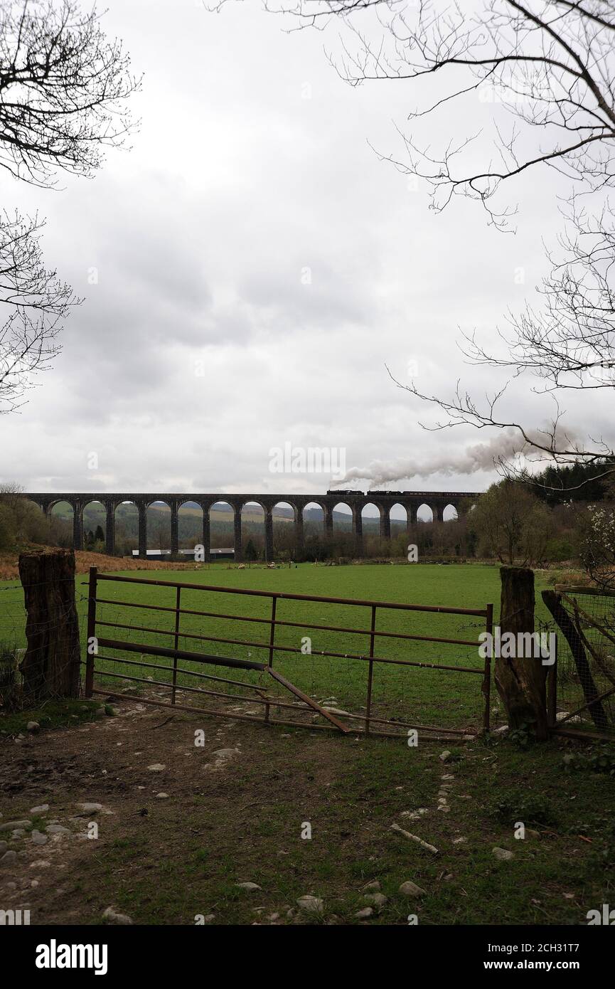 '44871' conduce '45407' attraverso il Viadotto di Cynghordy con un treno diretto a nord. Foto Stock
