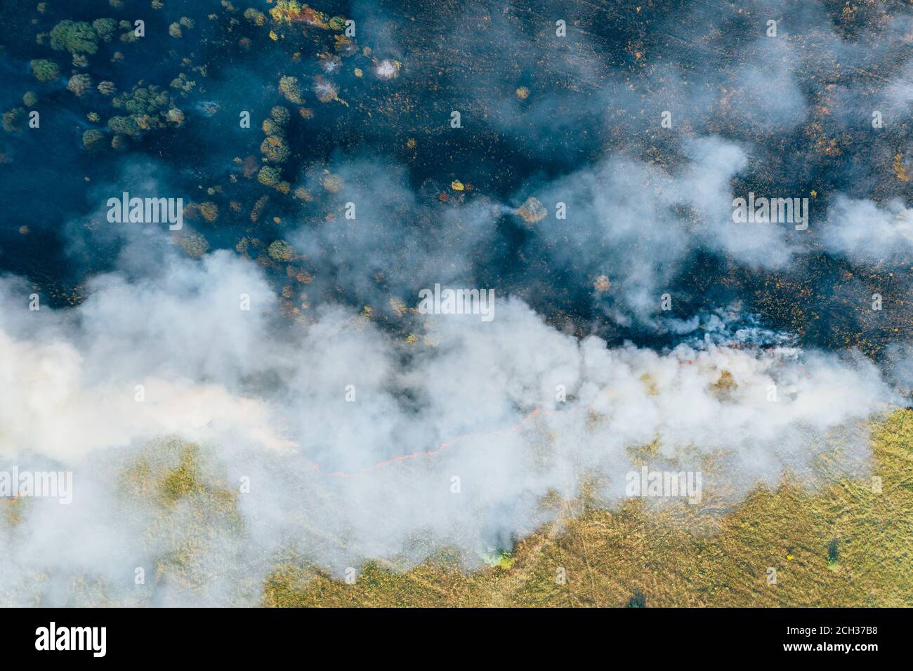 Vista aerea fuma nuvole di fuoco selvaggio. Fuoco in foreste si diffonde, disastro naturale. Erba secca e alberi che bruciano. Concetto di cambiamento climatico. Foto Stock