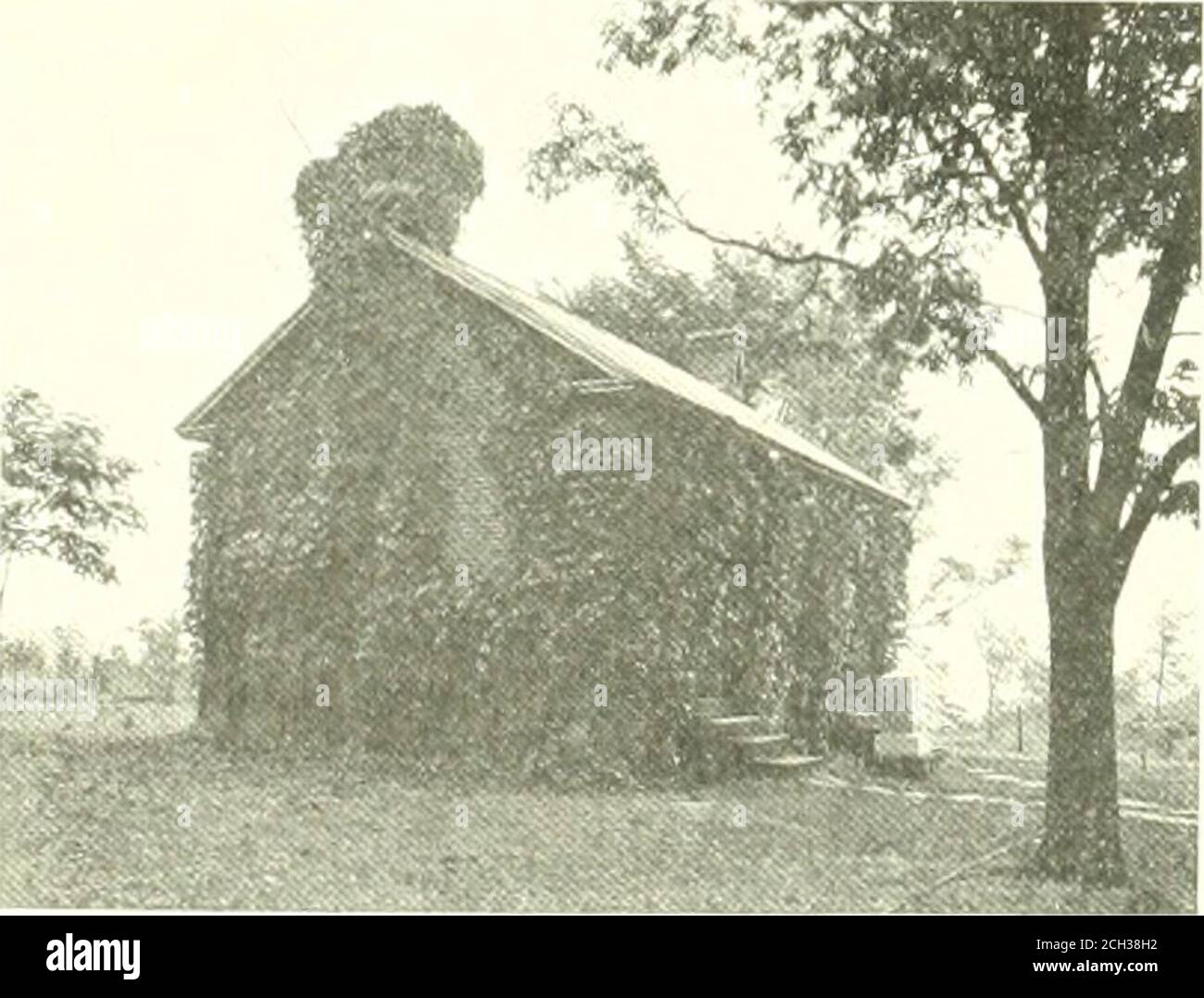 . Libro del blu reale . Ind. J. I.Markey è presidente della ditta. B. D. Northrup si occupa della produzione di motori Ifconvertible a gas e a vapore, di forniture per fonderie di pozzi petroliferi e di vetro, di fusioni di ferro e ottone, di modellisti, di fondatrici e finitrici. Questo è iniziato con un investimento di 1,500 dollari, che è aumentato a 75,000 dollari. Con una produzione annuale di valore pari a così,ooo dollari e dà occupazione a si.ty MEN.Washington è stato selezionato per il suo sviluppo petrolifero. La Washington Brick Company, fondata intgoo, con un inestment di ls.:o,ooo, è impegnata nella produzione di duro-bruciato Iniilding Shal Foto Stock