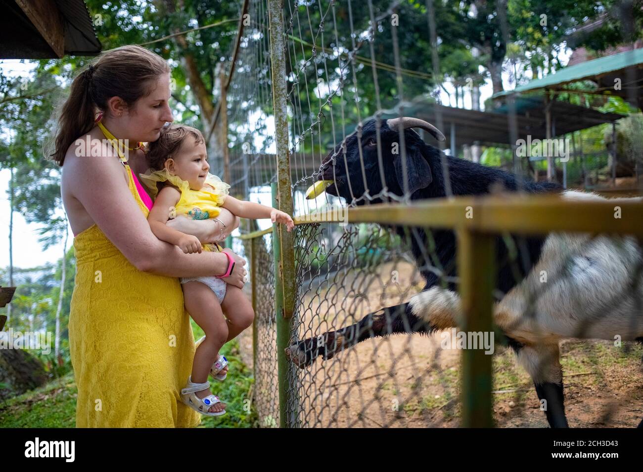 Adorabile bambina carina con madre che alimenta capra in una fattoria per bambini. Bellissimo bambino che accarezzano gli animali nello zoo. Ragazza entusiasta e felice in famiglia Foto Stock