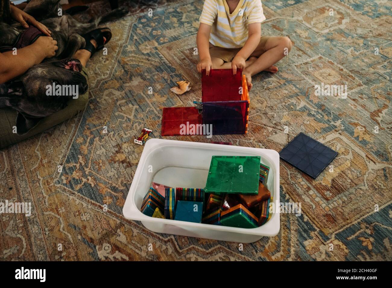 Ritratto anonimo di ragazzo che gioca con piastrelle magnetiche Foto Stock