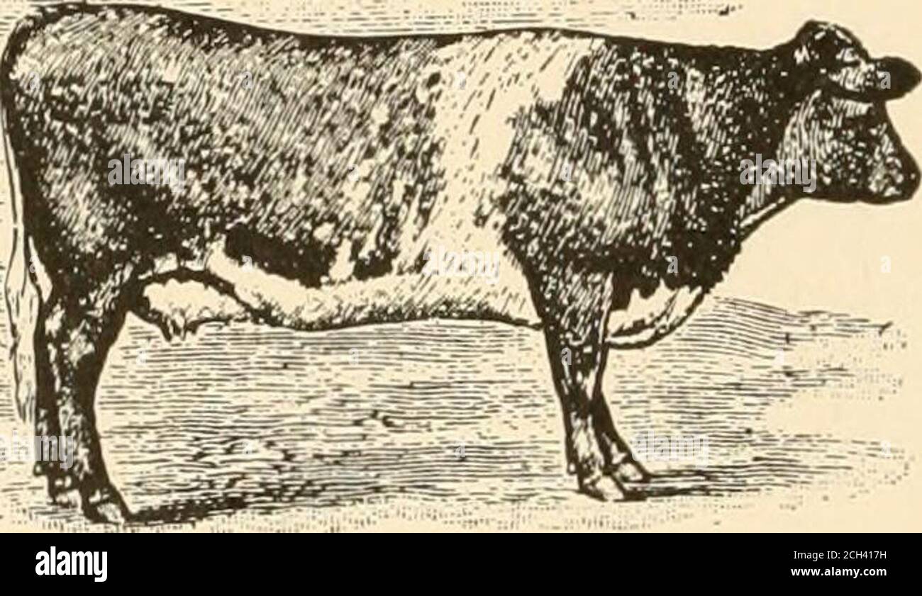 . Sviluppo agricolo; un libro introduttivo in agricoltura, tra cui una discussione di suoli, selezione e pianificazione di aziende agricole, sottomettendo i campi, drenaggio, irrigazione, strade, recinzioni, insieme con capitoli introduttivi riguardanti l'attività agricola, e le relazioni della scienza generale per l'agricoltura . ysomwhat cambiato nella composizione, essi anche diventando ereseroirs di energia. Se l'uomo mangia la tiesa di un animaland utilizza la sua forza sotto forma di lavoro, sta semplicemente attingendo alla fornitura di energia che le piante immagazzinano dalle vaste risorse di . , , Figura 4. Un nuovo grano ha dato luogo alla selezione del sole IV. Foto Stock