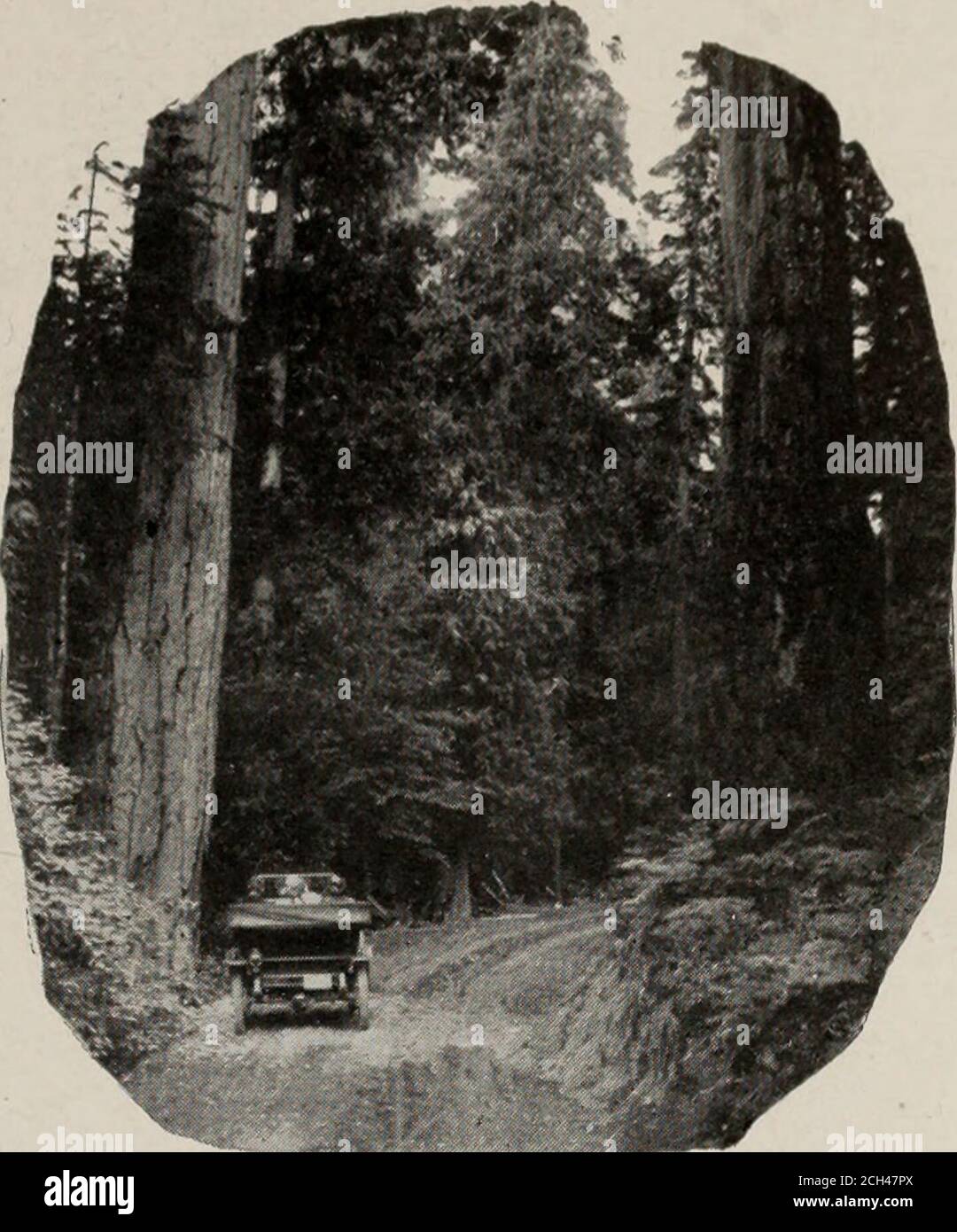 . Attraverso il Canada : guida annotata via il Pacifico canadese, il sistema di trasporto più grande del mondo: Linee occidentali dirette ad est. Isola di Vancouver 15. Malahat Drive, Vancouver Island terre, e oltre il distretto coltivato bene Saan-ich, con Mount Baker rischiingmajestically circa cento miglia ad est. Lago Shawnigan UNA bella foglia d'acqua, con ex-cellulent pesca. Strath-cona Lodge, gestito privatelyoperated, da cui si ottiene una splendida vista del lago, af-fords prima classe ac-alloggio. Cobble Hill il cen-tre di atliving agricolo distretto. Duncan Population1500. Questo è il centro di aflou Foto Stock