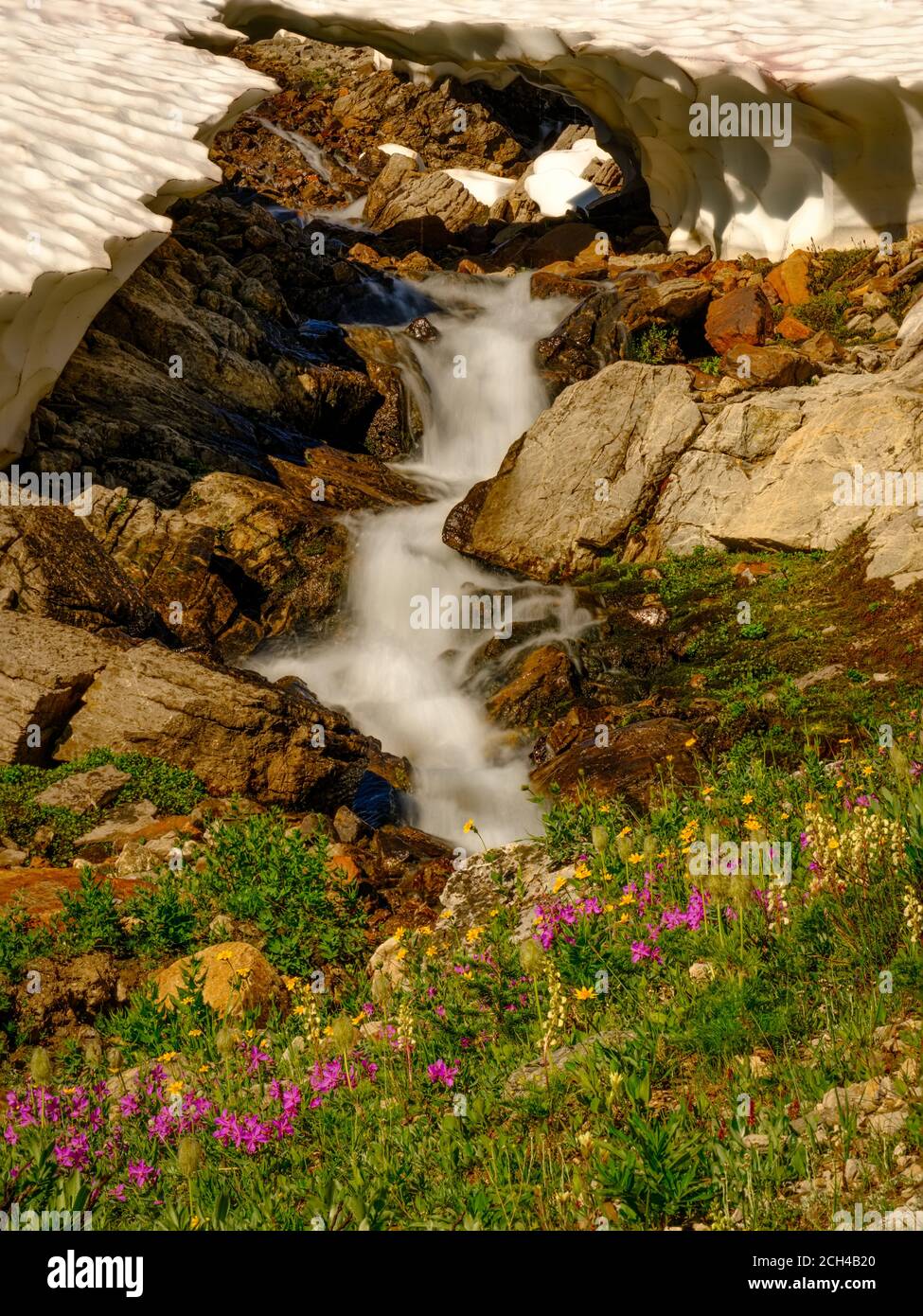 Cascate di Glacier, Banff National Park, Alberta, Canada. Foto Stock