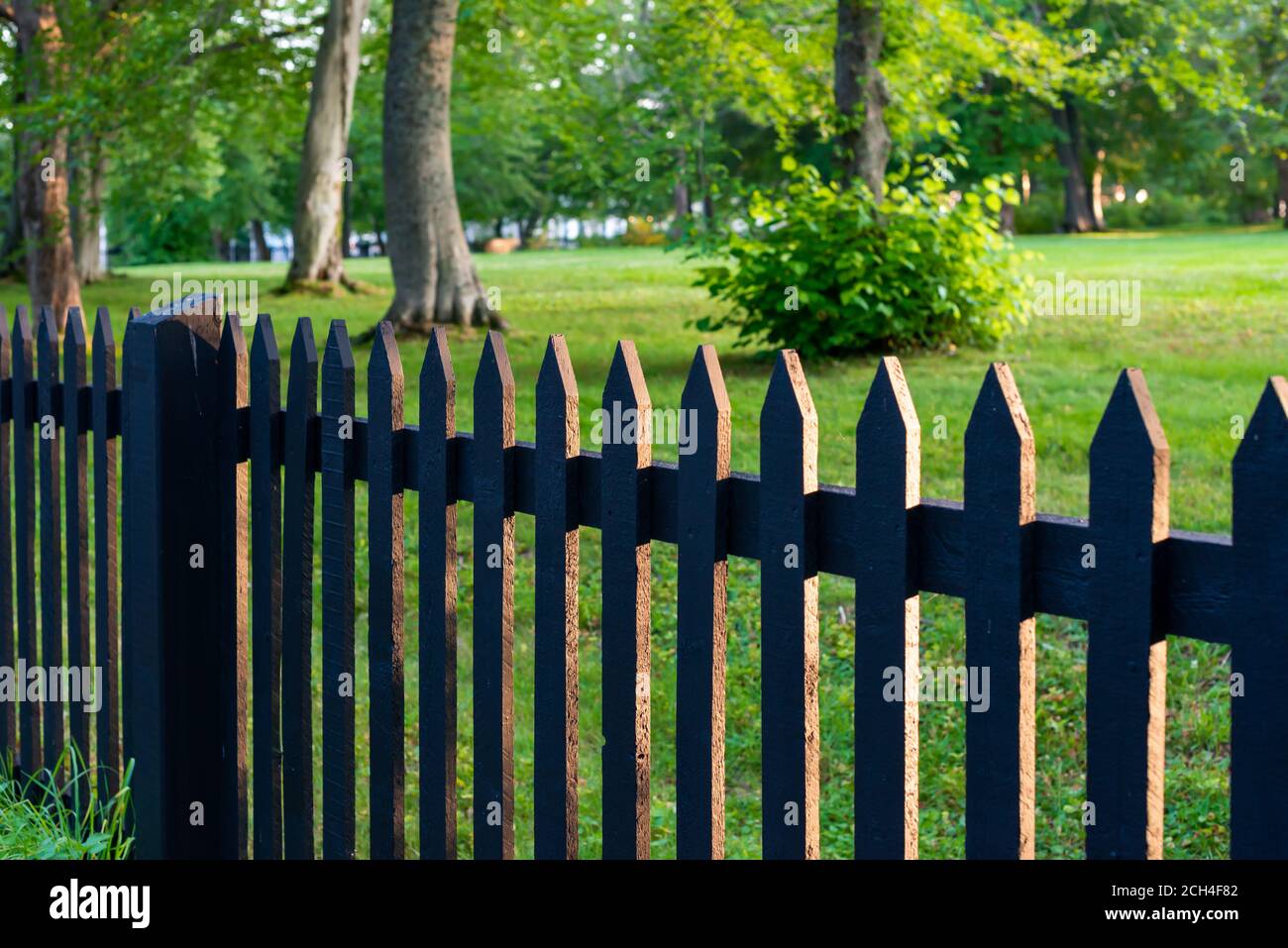 Una recinzione in legno nero con erba verde, grandi alberi e arbusti lussureggianti in un giardino. La scena estiva è vibrante e colorata. Foto Stock
