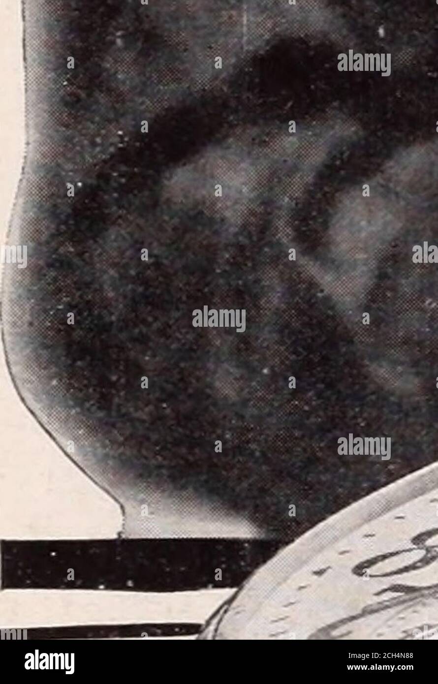 . Rivista dei dipendenti di Baltimora e Ohio . Per favore moitio)! la nostra rivista ichen icritifig inserzionisti. Foto Stock