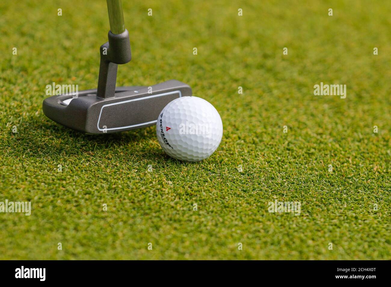 Palla di golf in mano del golfer. Foto Stock