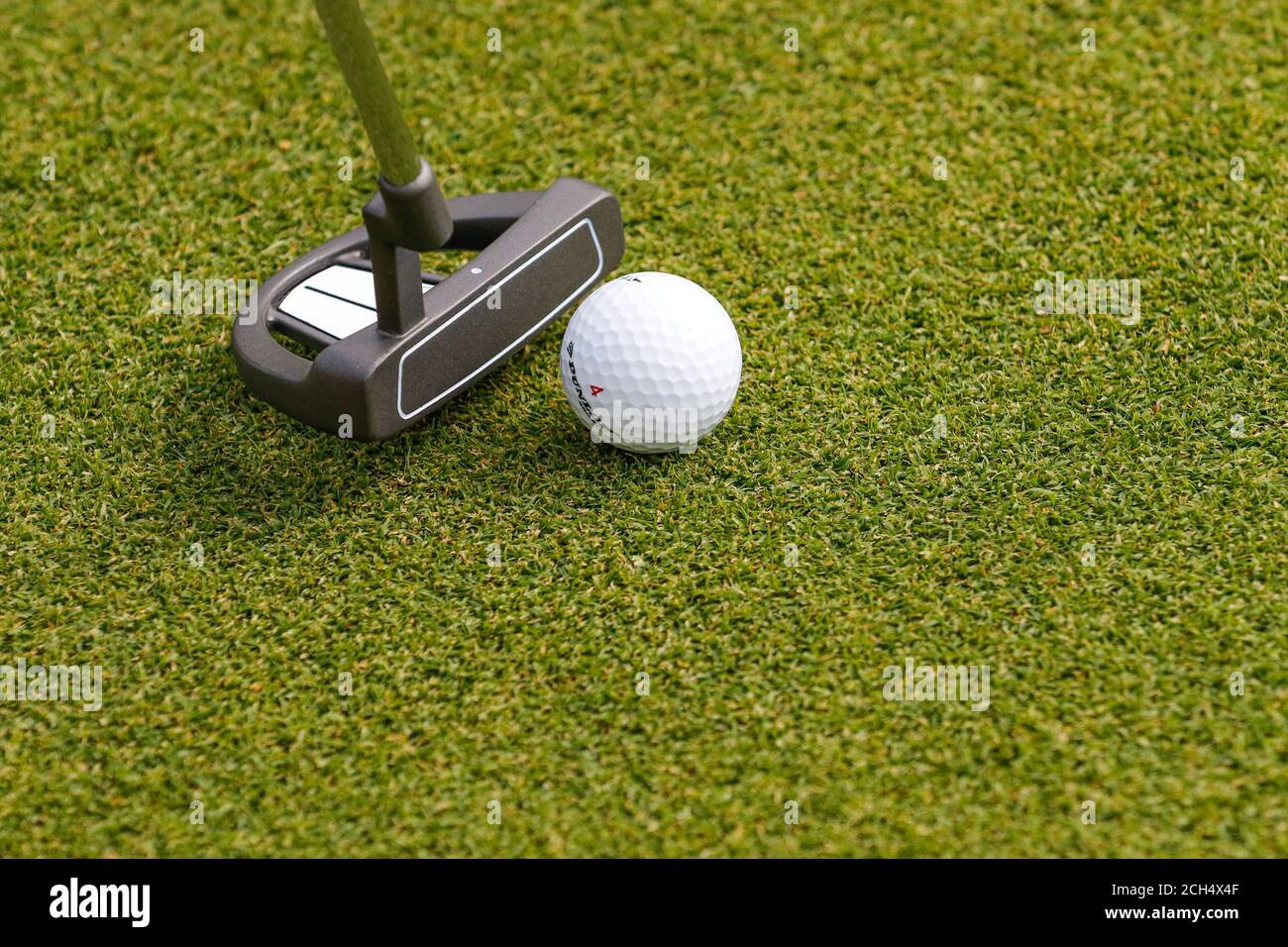 Palla di golf in mano del golfer. Foto Stock