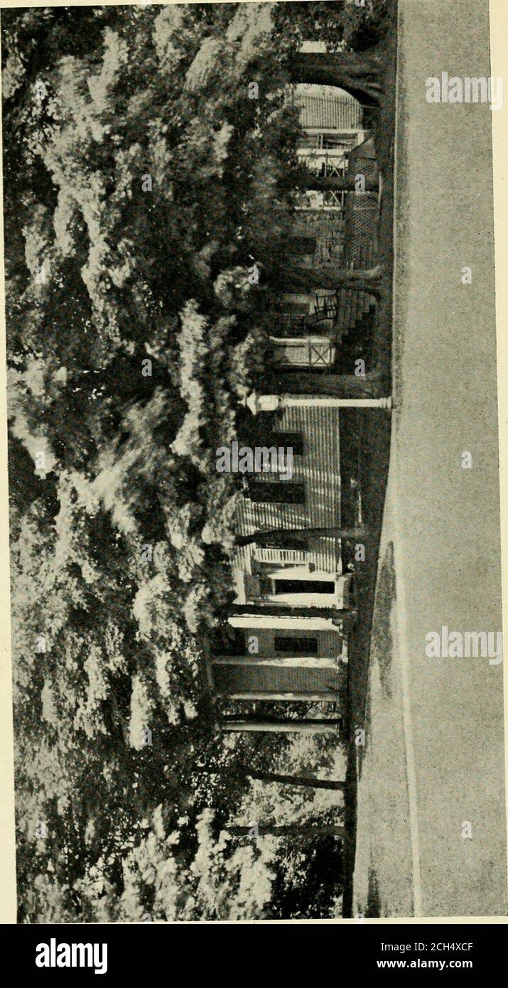 . Storica Litchfield, 1721-1907; essendo un breve resoconto della storia delle vecchie case di Litchfield; . AVENUE OF TREESSpring Hill Sanatorium. 29 e ha avuto l'esperienza insolita di Hving in tre secoli, essendo nato nel 1698. E come se questo non fosse abbastanza sherode a cavallo trenta miglia in un giorno dopo che ha hadpassed il suo centesimo anno. I mancati Edwards, nipote del primo presidente Edwards, lo occupavano come casa di imbarco per gli studenti di legge. Passò attraverso varioushands, fino a quando il Capt. Charles Jones ha strappato giù la vecchia casa edificata circa 1850 la casa ora in piedi, che ha l'apenm Foto Stock