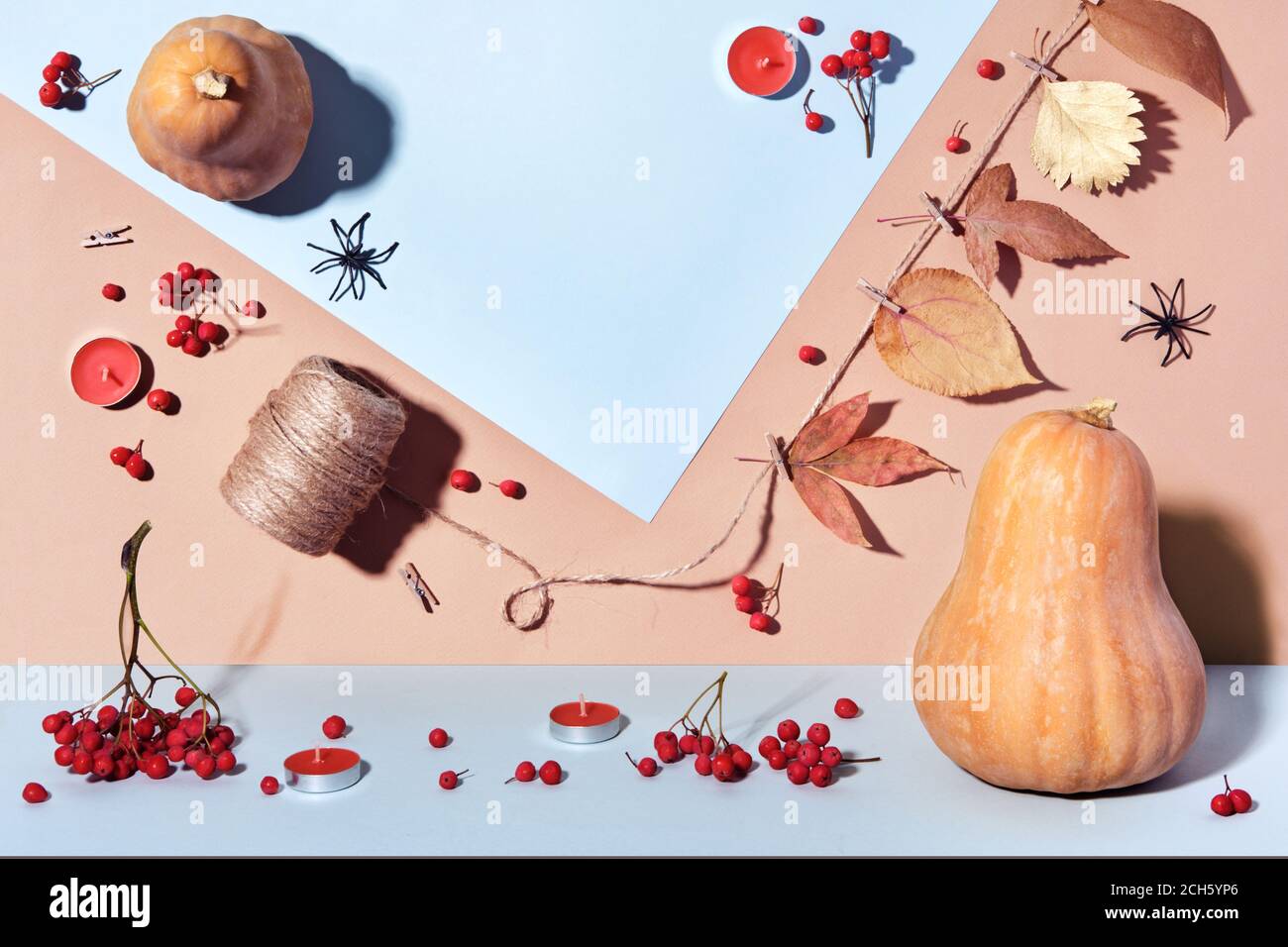 Layout autunnale con zucche, garland fai da te e bacche in colori pastello. Doppia composizione della vista dall'alto e della vista frontale Foto Stock