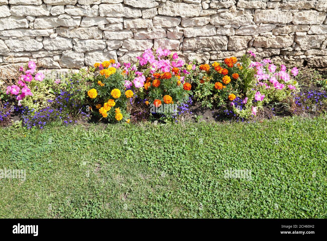 Giardino fiori letto accanto a rocce calcaree e erba verde Foto Stock