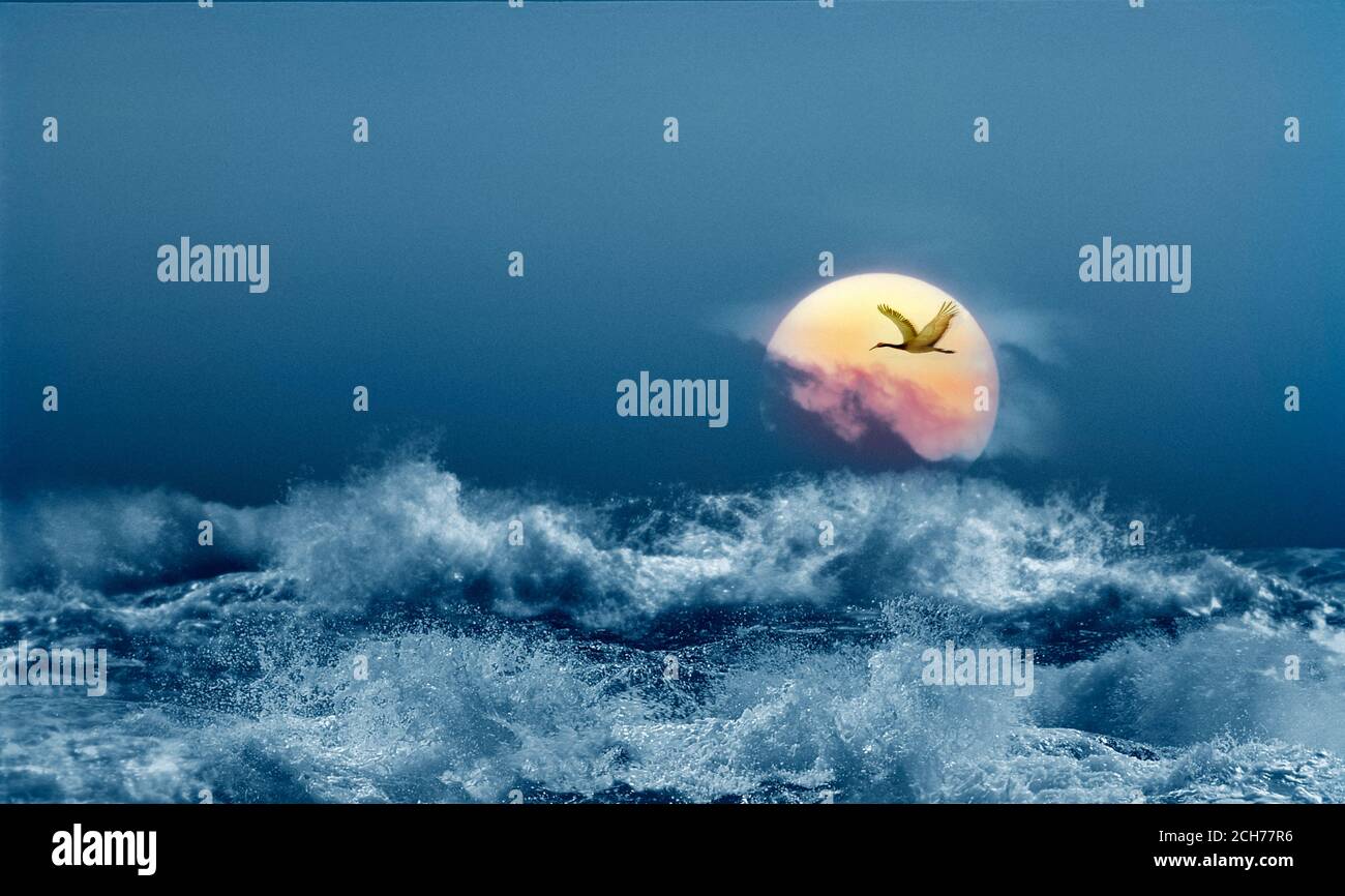 Uccello silhouette al tramonto sopra il mare tempestoso Foto Stock