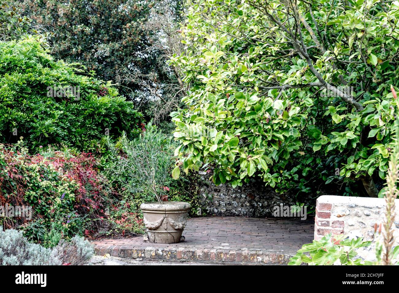Giardino a Monk's House, casa di Virginia e Leonard Woolf in Rodmell, Sussex Foto Stock