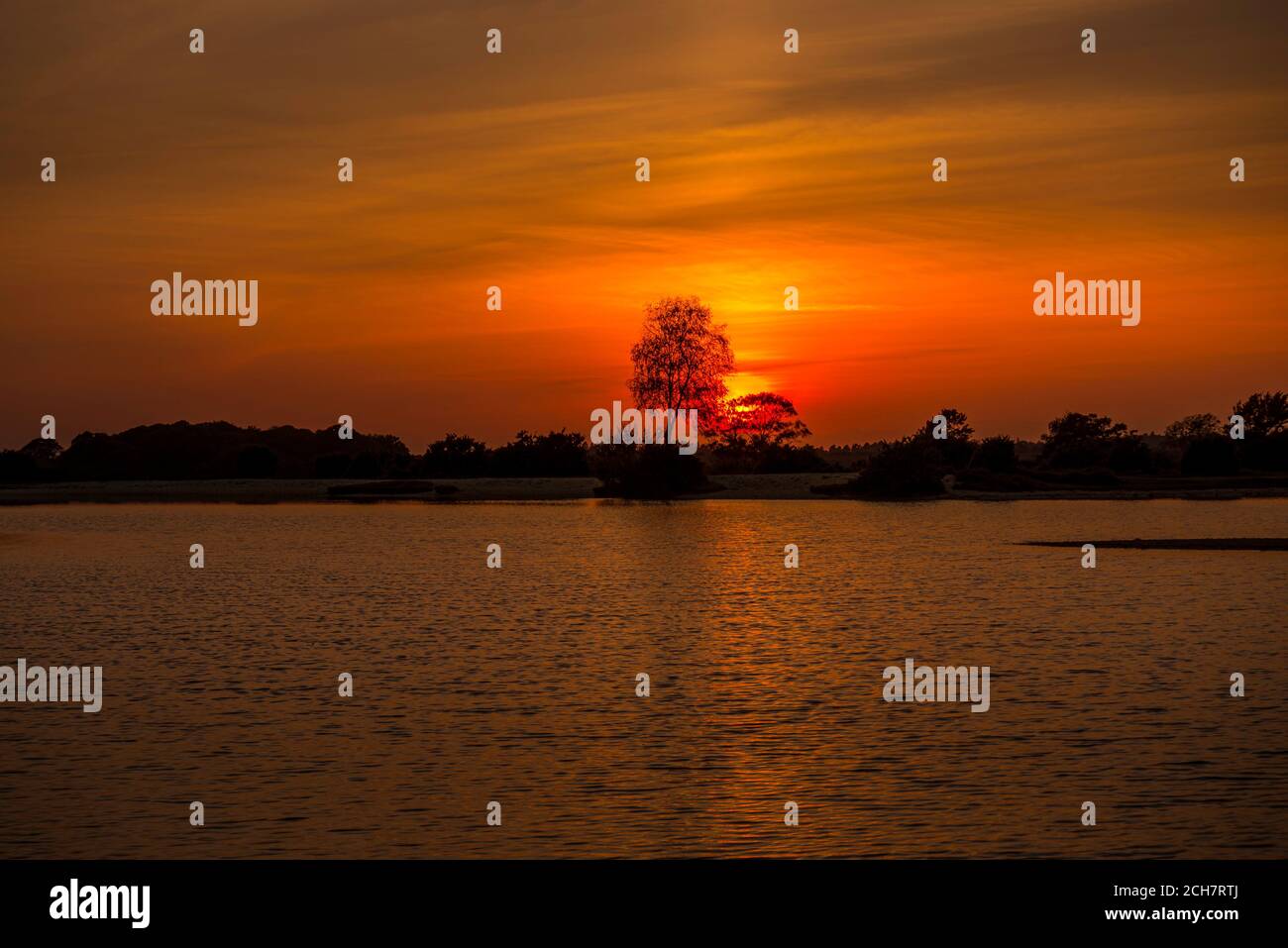 Tramonto nella nuova foresta con laghetto vicino a Lyndhurst Foto Stock