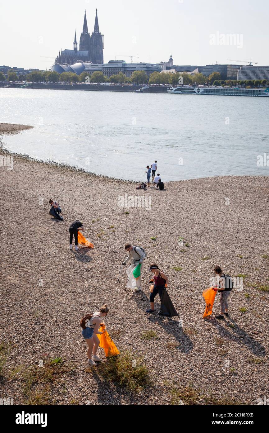 Il giorno di pulizia internazionale del Reno, il 12 settembre, 2020 volontari raccolgono i rifiuti lungo le rive del Reno. A Colonia l'associazione K.R.A Foto Stock