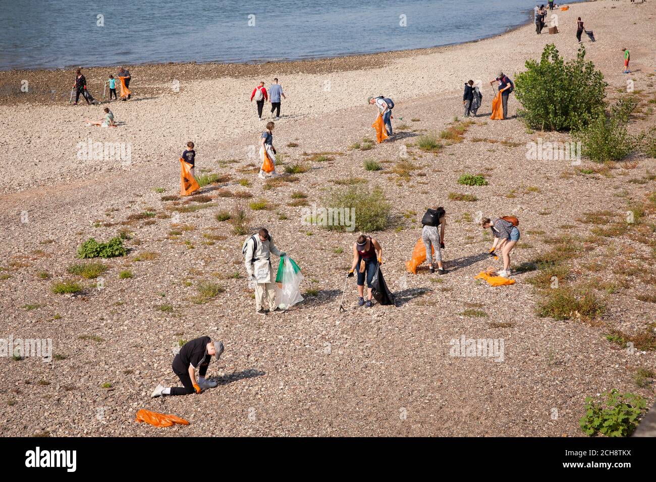 Il giorno di pulizia internazionale del Reno, il 12 settembre, 2020 volontari raccolgono i rifiuti lungo le rive del Reno. A Colonia l'associazione K.R.A Foto Stock