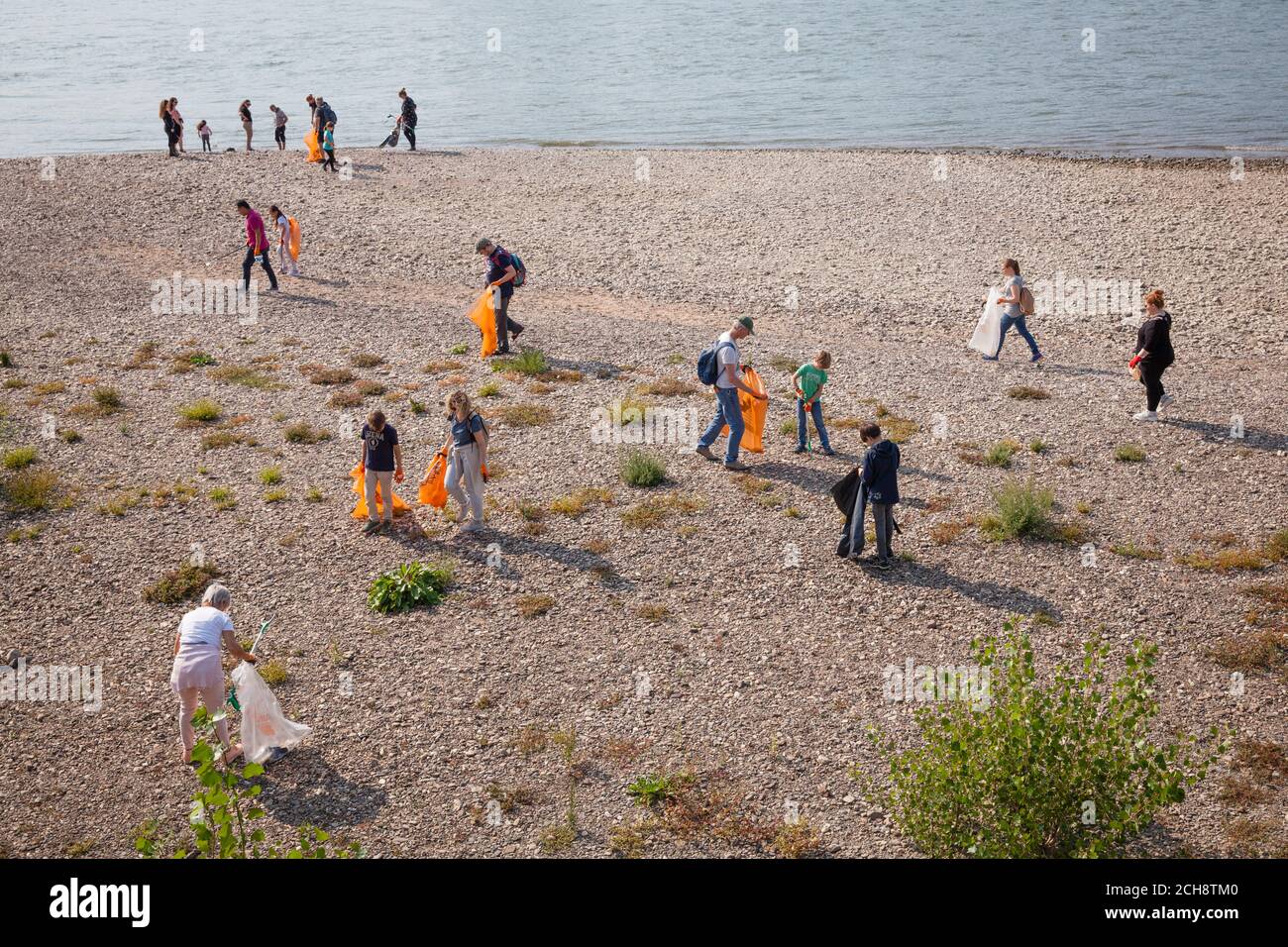 Il giorno di pulizia internazionale del Reno, il 12 settembre, 2020 volontari raccolgono i rifiuti lungo le rive del Reno. A Colonia l'associazione K.R.A Foto Stock