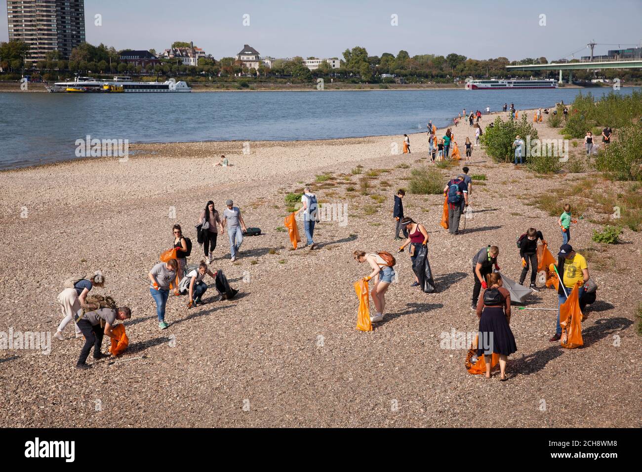 Il giorno di pulizia internazionale del Reno, il 12 settembre, 2020 volontari raccolgono i rifiuti lungo le rive del Reno. A Colonia l'associazione K.R.A Foto Stock