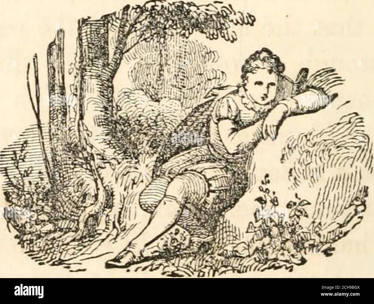 . L'oratore della scuola domenicale; Oppure esercizi per anniversari e celebrazioni, costituiti da indirizzi, dialoghi, recitazioni, lezioni di classe biblica, inni, ecc., adattati ai vari soggetti a cui sono diretti gli sforzi della scuola di Sabbath . hich sarà una nuvola in ombra nel giorno della pro-perità, e un pilastro di fiamma nella stagione della prova. Ricordatevi, allora, mia cara Elisabetta, che Dio non ci ha fatti come il piccolo hum^ming-bird, per passare alla luce del sole dal toflower dei fiori, e poi per ritirarsi nel PROSSIMO ORATORE DELLA SCUOLA DOMENICALE del 94. Di T^•intel^ si formano per l'eternità. Le Foto Stock