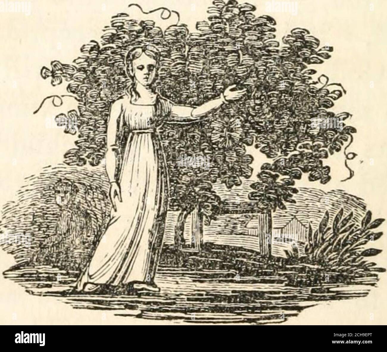 . L'oratore della scuola domenicale; o esercizi per anniversari e celebrazioni, costituiti da indirizzi, dialoghi, recitazioni, lezioni di classe biblica, inni, ecc., adattati ai vari argomenti ai quali sono diretti gli sforzi della scuola sabbataria. I ragazzi devono essere salvati e venire alla conoscenza della verità come è in Cristo, che i bambini^dovrebbero essere nutriti e ammoniti dalla sua parola. Paulwerd ha Timoteo ricordare, che da un bambino hai conosciuto le sacre Scritture, che sono in grado di renderti saggio alla salvezza. Il Salvatore, che era un tempo un bambino come noi, è cresciuto nella conoscenza così come nella statura, e ifl Foto Stock