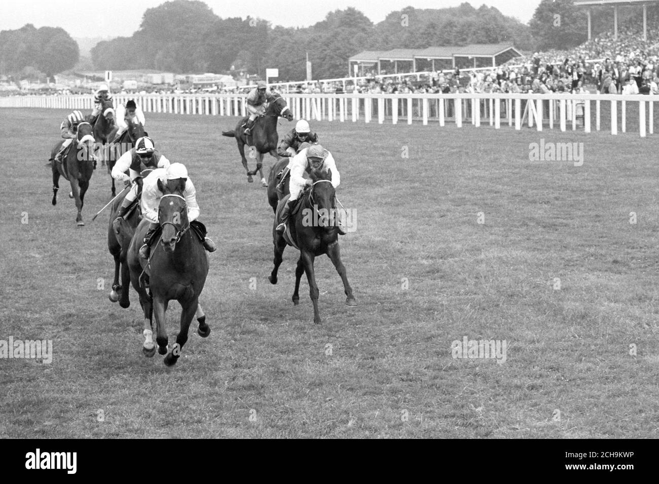 Ferrari Cavallo Immagini e Fotos Stock - Alamy