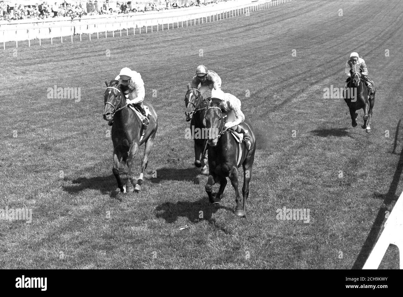 La finale della Coronation Cup di Epsom, con il Caliban di Stanhope Joel, guidato da Sandy Barclay, batte il Duca di Devonshire's Park Top (a sinistra), con Lester Piggot in su. Visto al terzo posto è stato Shoemaker di PG Goulandris, con D Keith in su. Foto Stock