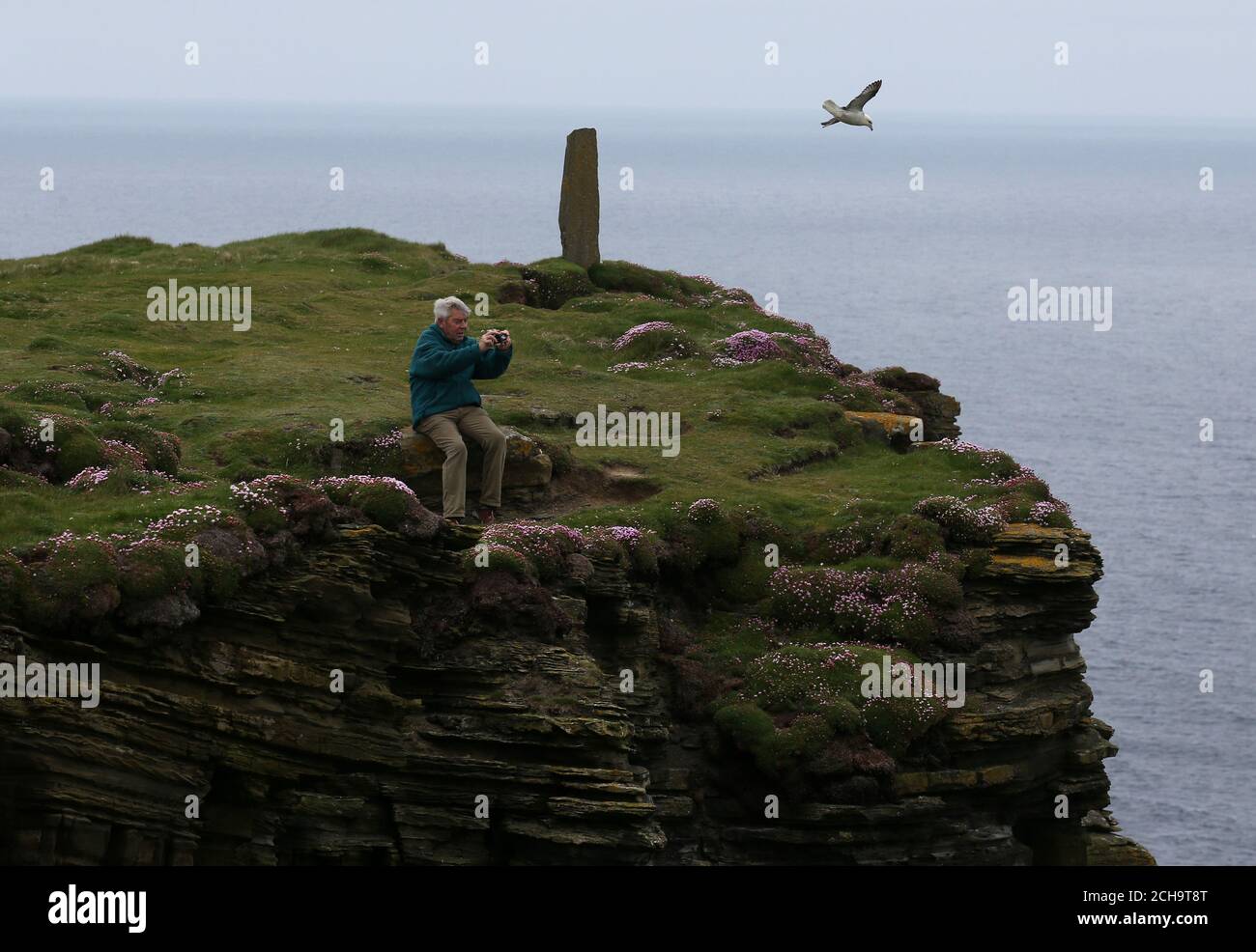 Un visitatore scatta foto di uccelli lungo le cime della scogliera Alto sul mare a Marwick Head in Orkney Foto Stock