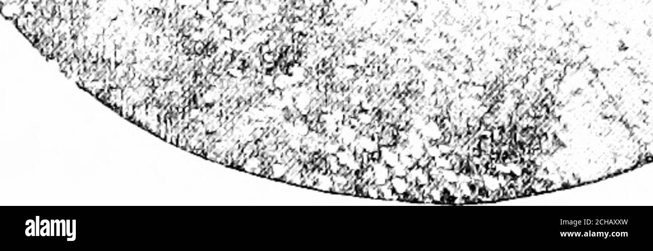 . Enciclopedia afro-americana, o, i pensieri, le azioni e le parole della razza [risorsa elettronica]: Abbracciare indirizzi, conferenze, schizzi biografici, sermoni, poesie, nomi di università, college, seminari, giornali, libri, e una storia delle denominazioni, dando la forza numerica di ciascuno : insegna infatti ogni argomento di interesse ai colorati, come discusso da più di cento dei loro uomini e donne migliori e più saggi : illustrati con belle incisioni mezzitoni . Negozio di addestramento manuale Ballard. THOUGHSTS, CANTI, E CANTI DI LHF. RAZZA. 313 Foto Stock