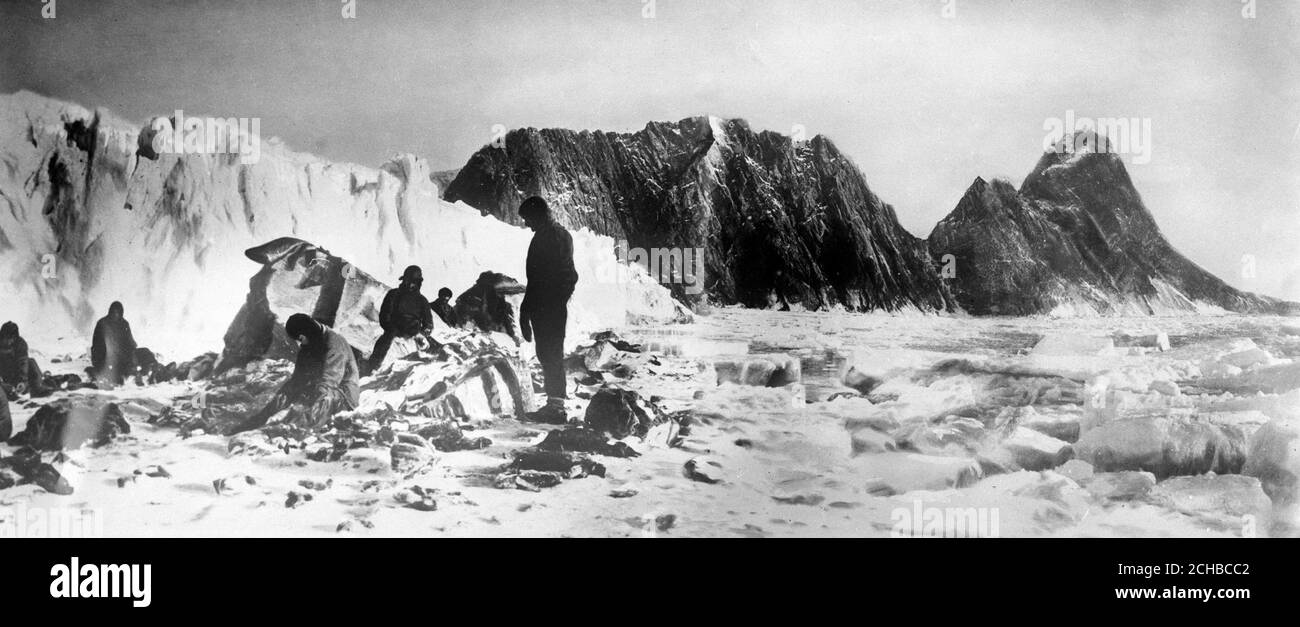 La festa visse sull'Isola degli Elefanti, finché Sir Ernest Shackleton li salvò, dopo che essi scacciarono dal buco del ghiaccio. Il ghiaccio impacco è visto soffocare la baia, mentre sullo sfondo sono i ghiacciai da cui le valanghe minacciavano di riempire la baia. In primo piano si vedono i membri della spedizione che scuoiano i pinguini di Gentoo, che formarono il loro cibo principale per 4 mesi. Foto Stock