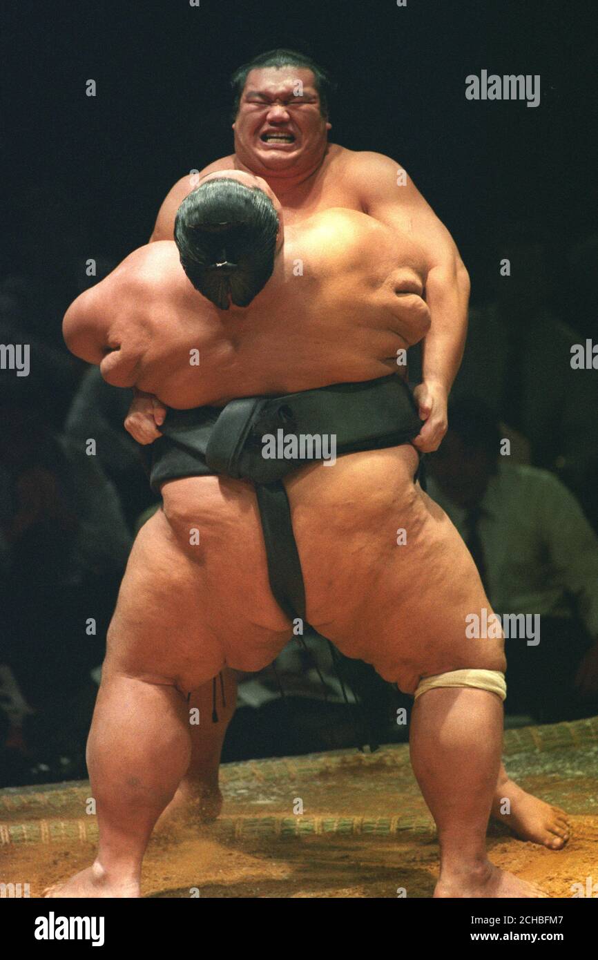 Il lottatore di sumo Konishiki (torna alla fotocamera) grappata con Tochinowaka durante il Grand Sumo Tournament alla Royal Albert Hall. Foto Stock