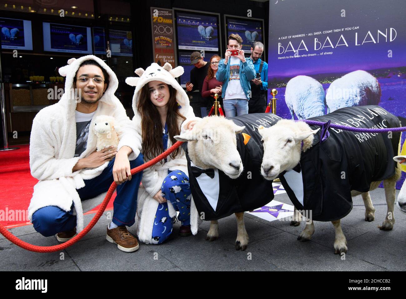 (Da sinistra a destra) i cineasta William Gore e Martha Stone con tre pecore partecipano alla prima di Baa Baa Land, un nuovo film di 8 ore in slow motion di Sheep in a Field &ETH; fatto come la "cura per l'insonnia ultima" da meditazione app calma; mostrato al Prince Charles Theatre, Londra. Foto Stock