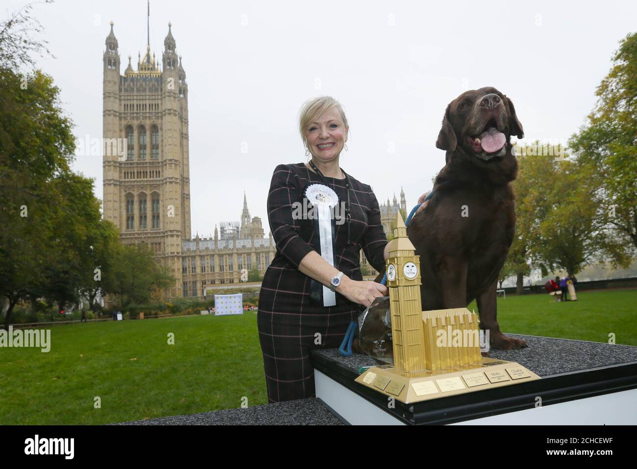 SOLO PER USO EDITORIALE Tracy Brabin, MP per Batley e Spen con Labrador Rocky è annunciato come vincitore del 25° concorso Westminster Dog of the Year organizzato congiuntamente da Dogs Trust e dal Kennel Club di Londra. PREMERE ASSOCIAZIONE. Data immagine: Giovedì 26 ottobre 2017. Il concorso è aperto a tutti i canini appartenenti ai parlamentari e ai Signori e celebra il rapporto speciale tra uomo e cane. Dieci canine hanno partecipato da tutti i partiti politici. Il credito fotografico deve essere: Tim Ireland/PA Wire Foto Stock