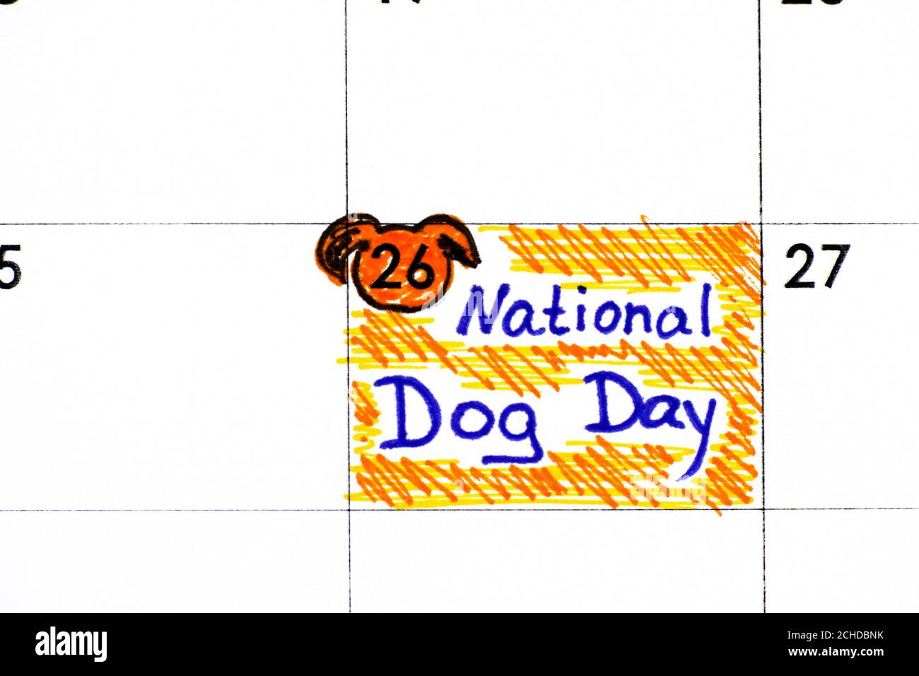 Promemoria National Dog Day in calendario. Agosto 26. Foto Stock