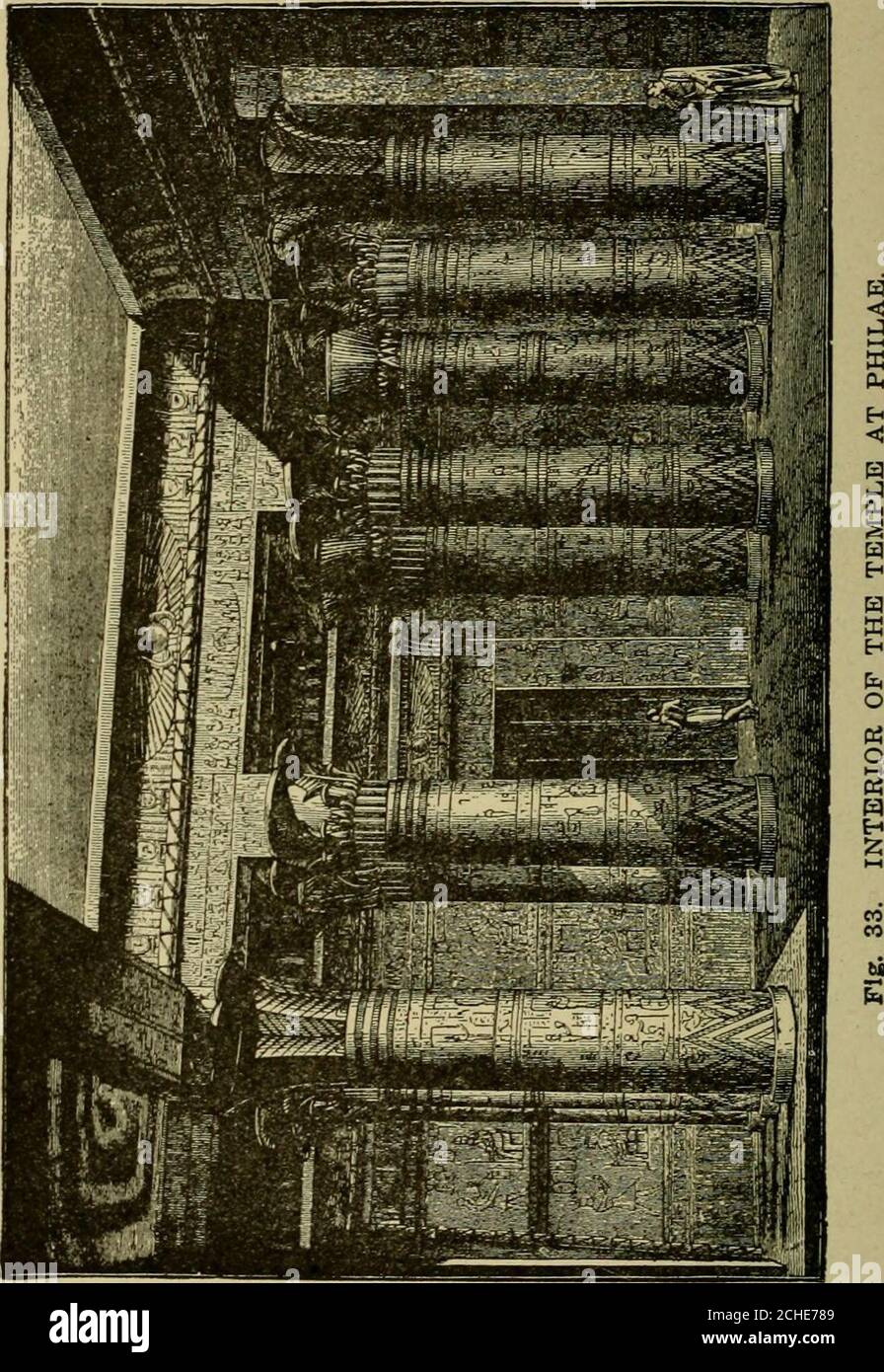 . Semplici passi in architettura e disegno architettonico .. . Fig. 32. VISTA POSTERIORE DEL TEMPIO DI FILAE. Produca l'effetto di essere composto da un aggloma-zione di parti separate, che assomigliano l'una all'altra, butdiventare più piccolo e più piccolo verso la parte posteriore della struttura (Fig. 32). Le pareti di un tale tempio sono coperte da file di sculture dipinte in colori luminosi, e che sono set-114 FACILI LEZIONI DI ARCHITETTURA. LEZIONI FACILI IN ARCHITETTURA 115 arate da bande, le file inferiori su pareti alte essendo di larghezza maggiore del npper. L'interno (Fig. 33) ha un aspetto più ricco, principalmente ow Foto Stock