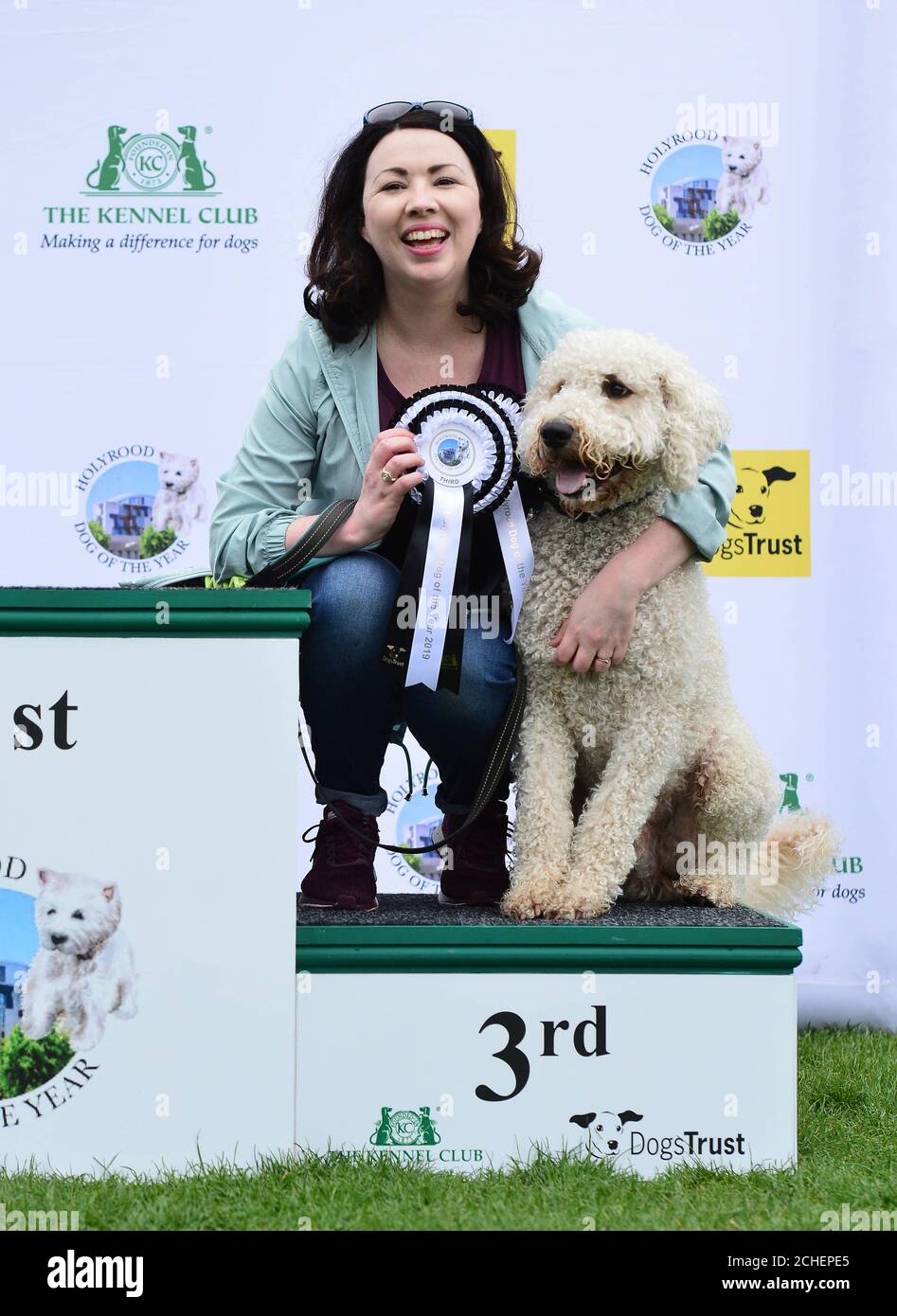 USO EDITORIALE SOLO Cuillin, un Labrador Cross Poodle, appartenente a Monica Lennon MSP è un secondo classificato del concorso Holyrood Dog of the Year di quest'anno organizzato congiuntamente da Dogs Trust e dal Kennel Club presso lo Scottish Parliament Gardens di Edimburgo. Foto Stock